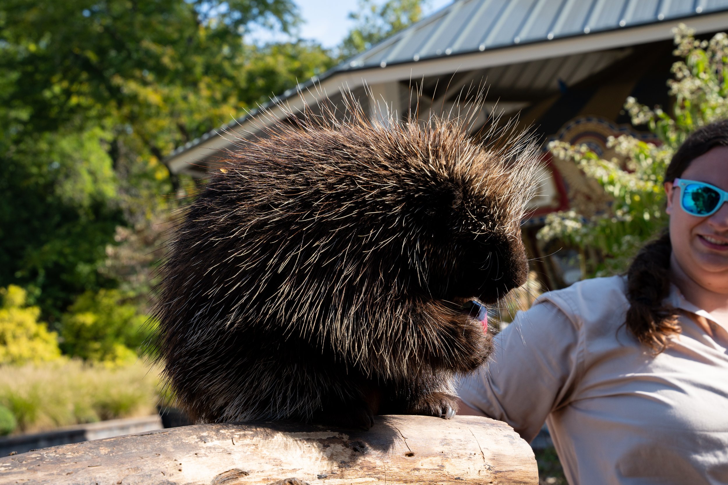 Zoo-20.jpg