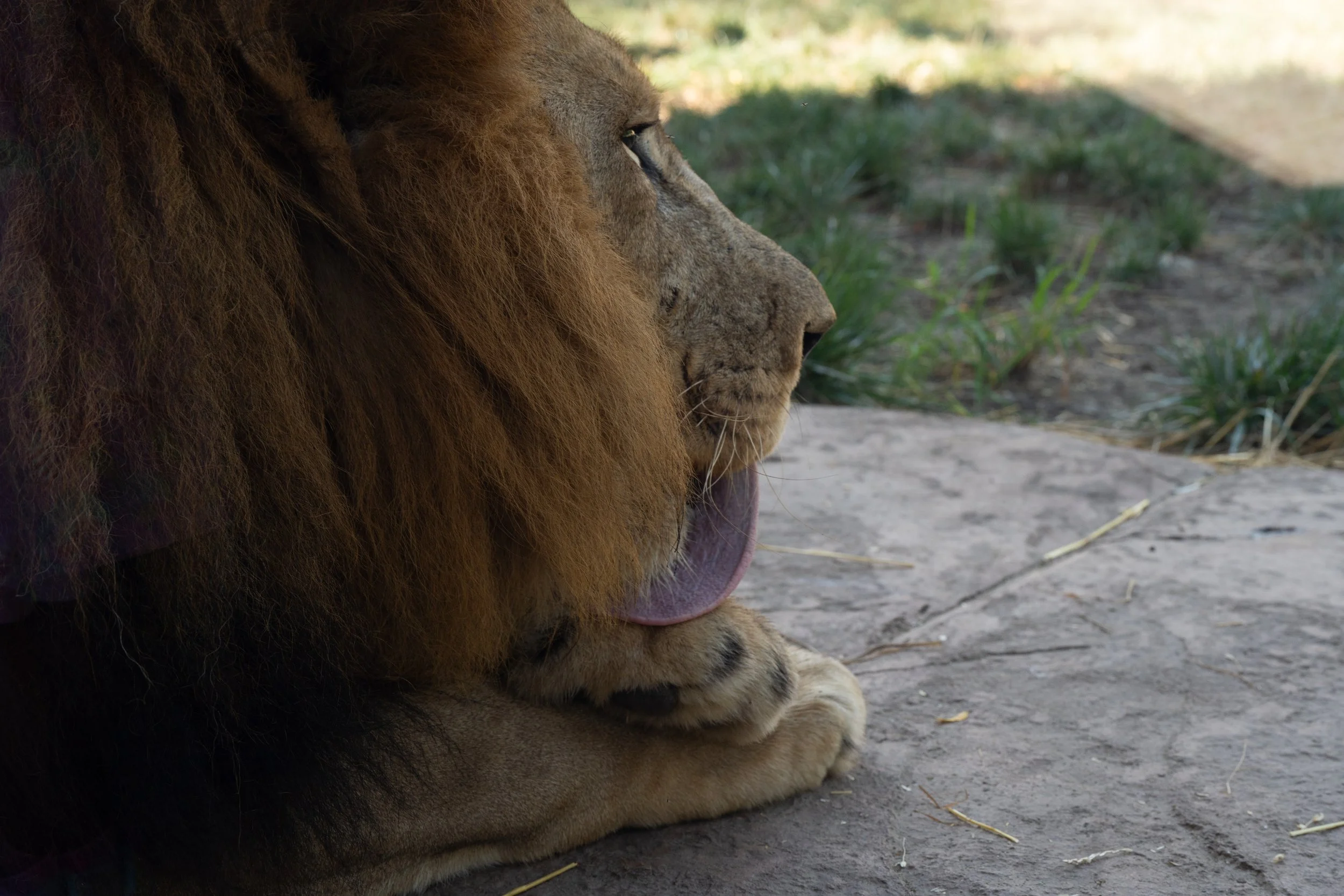 Zoo-27.jpg