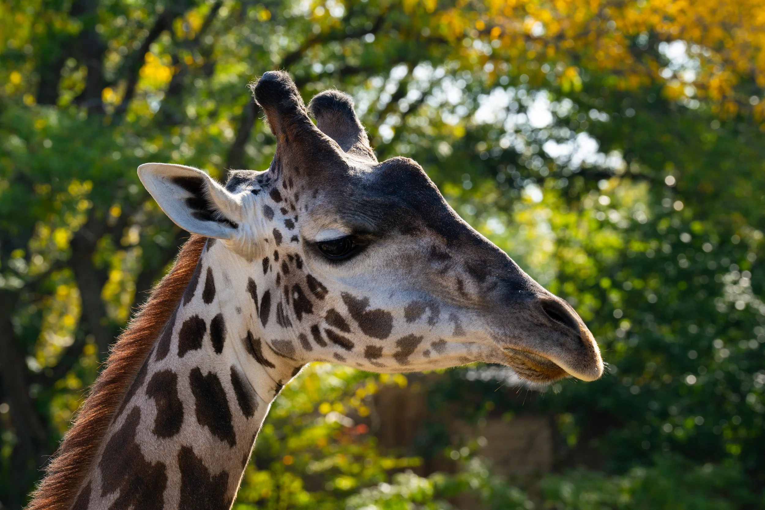 Zoo-6.jpg