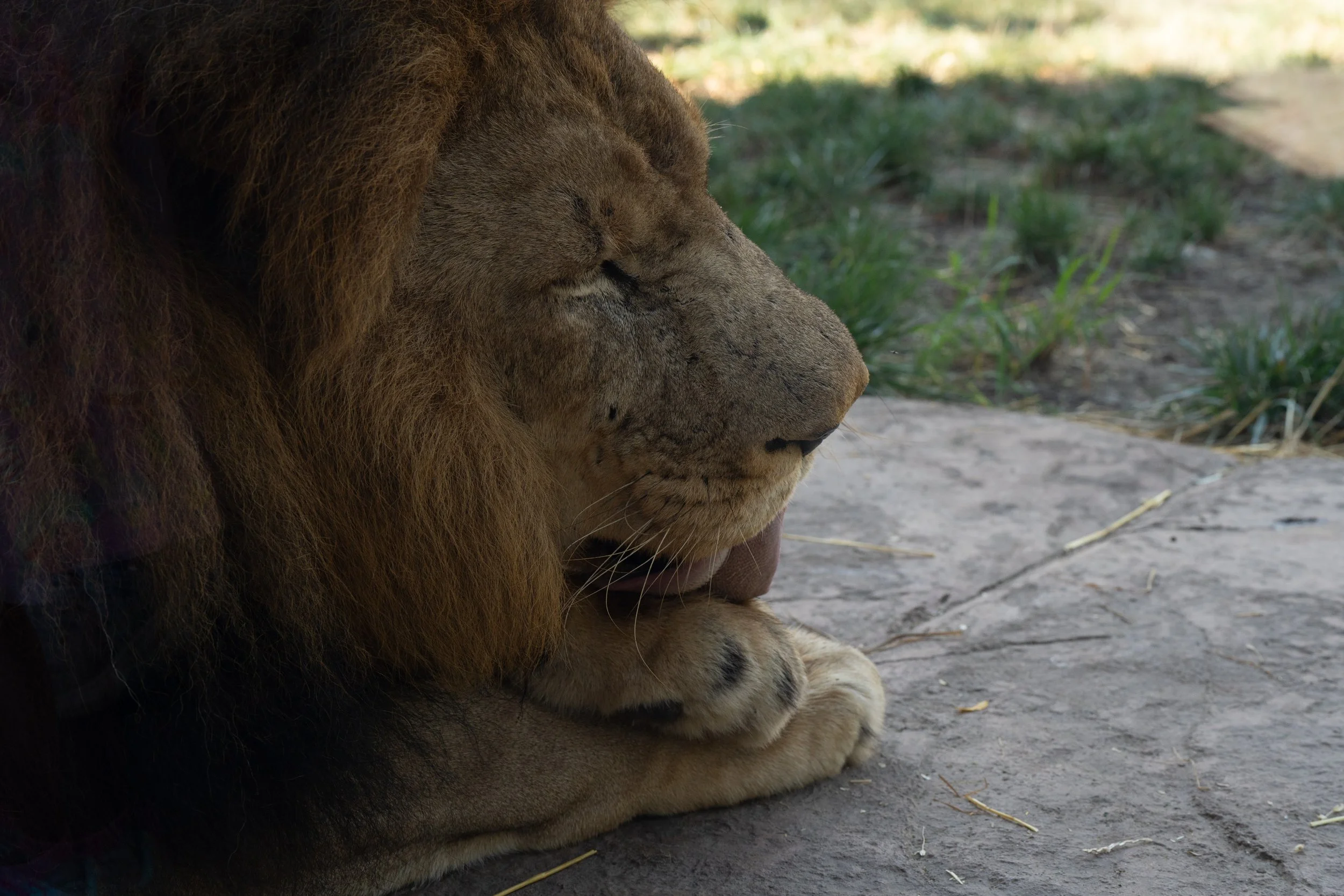 Zoo-26.jpg