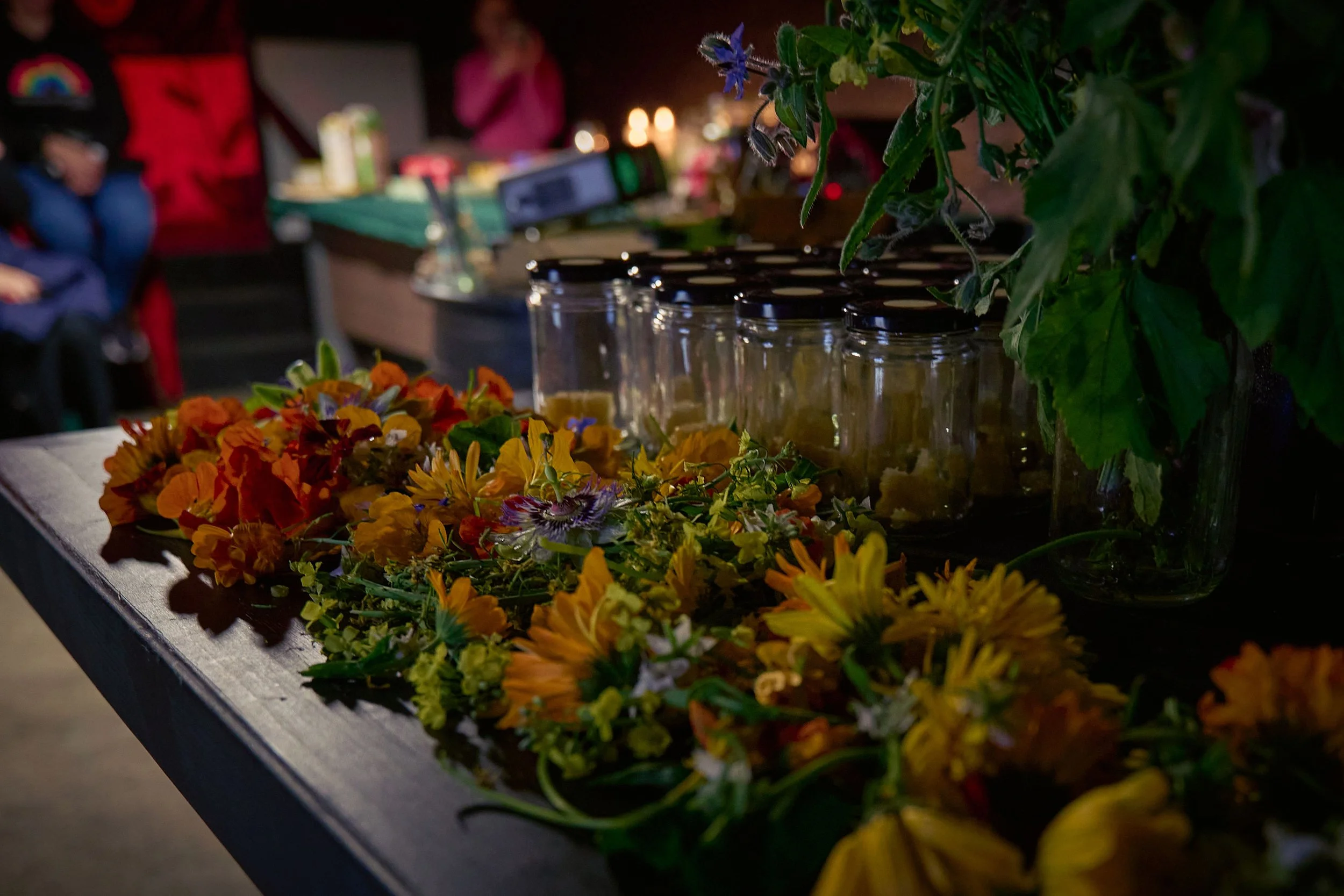 "Queer Your Guts" fermentation workshop by Savage Craic in Co Clare. An Feile Eile, Killorglin, Co Kerry.