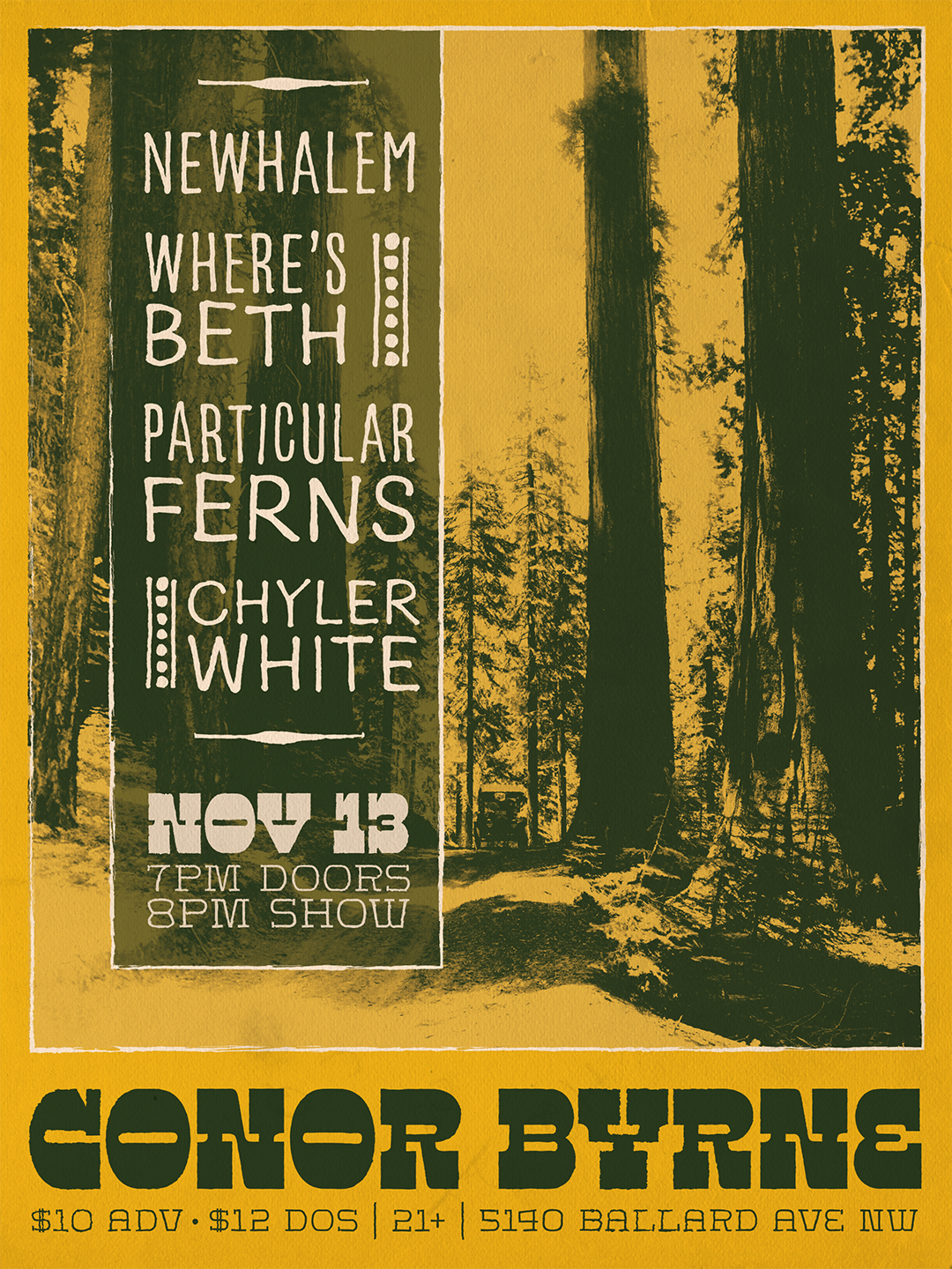 Particular Ferns @ Conor Byrne Pub