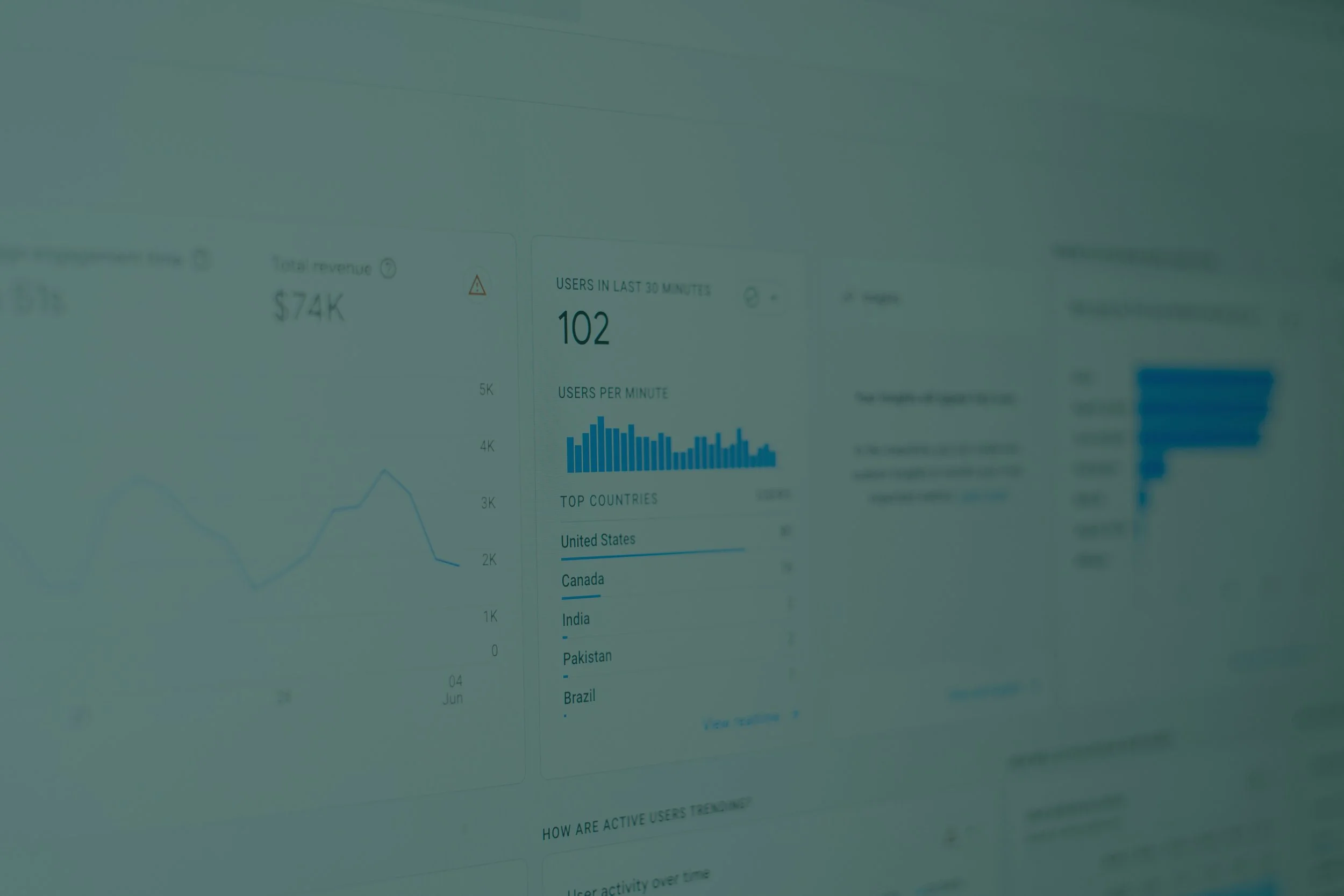 Loyalty and revenue programs