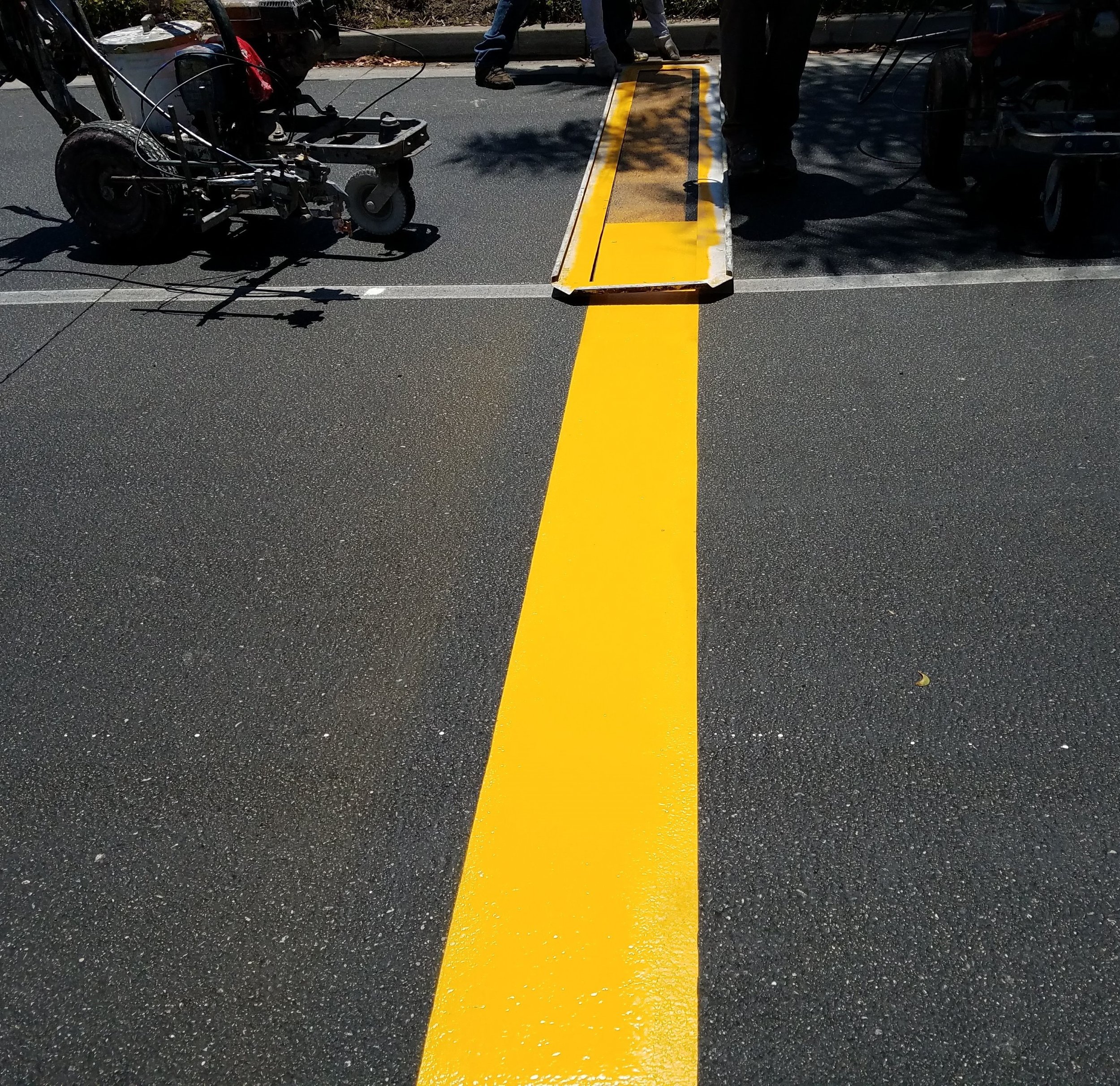 yellow bar.jpg