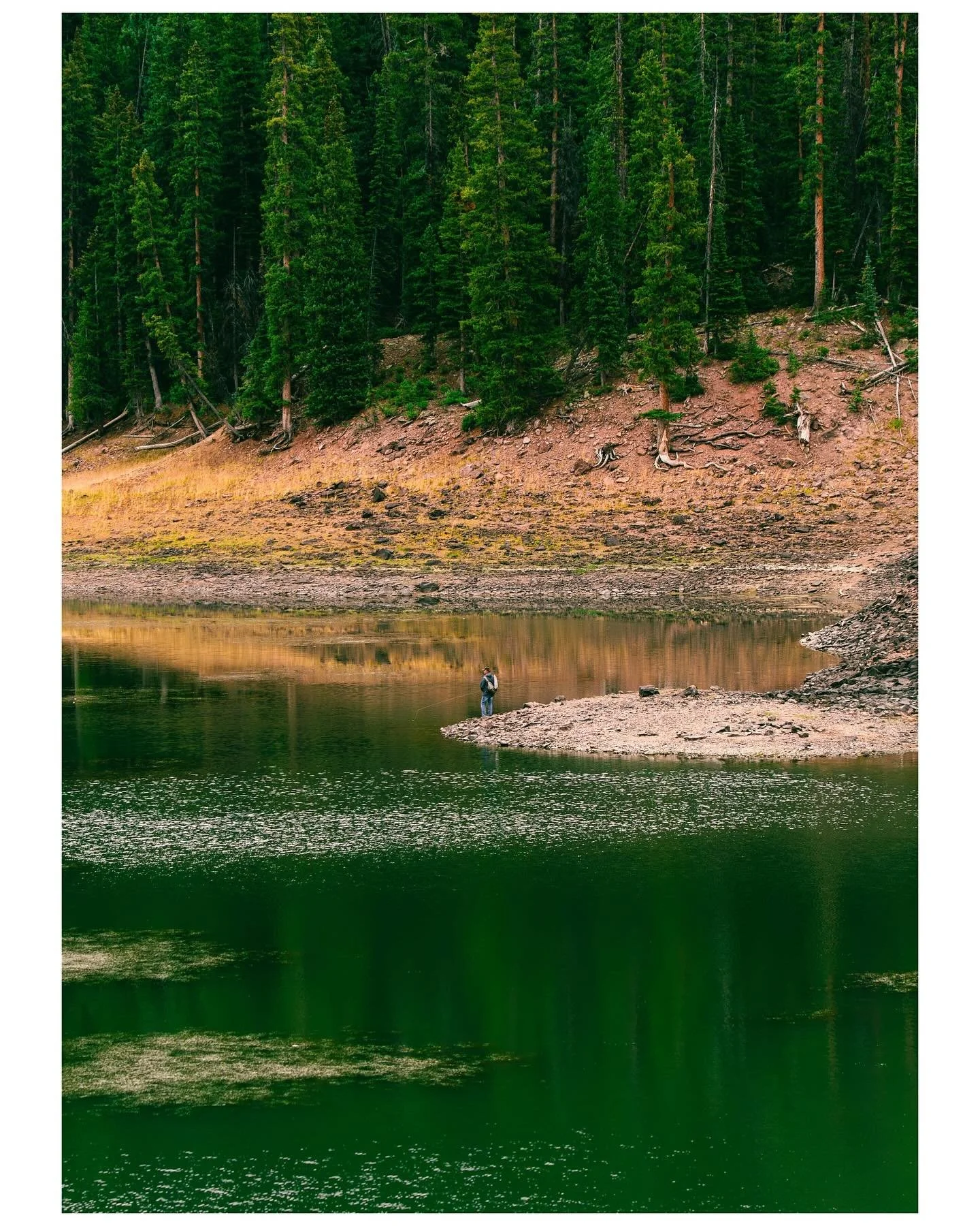 photos from just outside of Beaver, UT this past weekend 🌳🦌

#landscapephotography #beaverutah #poopinthewoods