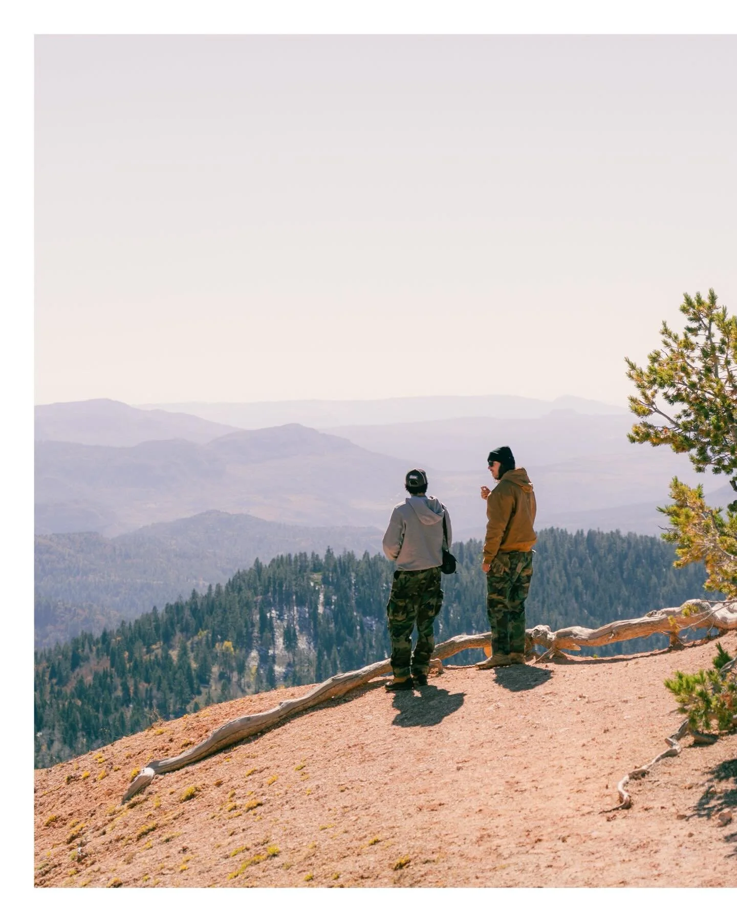 a man, his dog, and two friends go for a hike in duck creek &hellip;