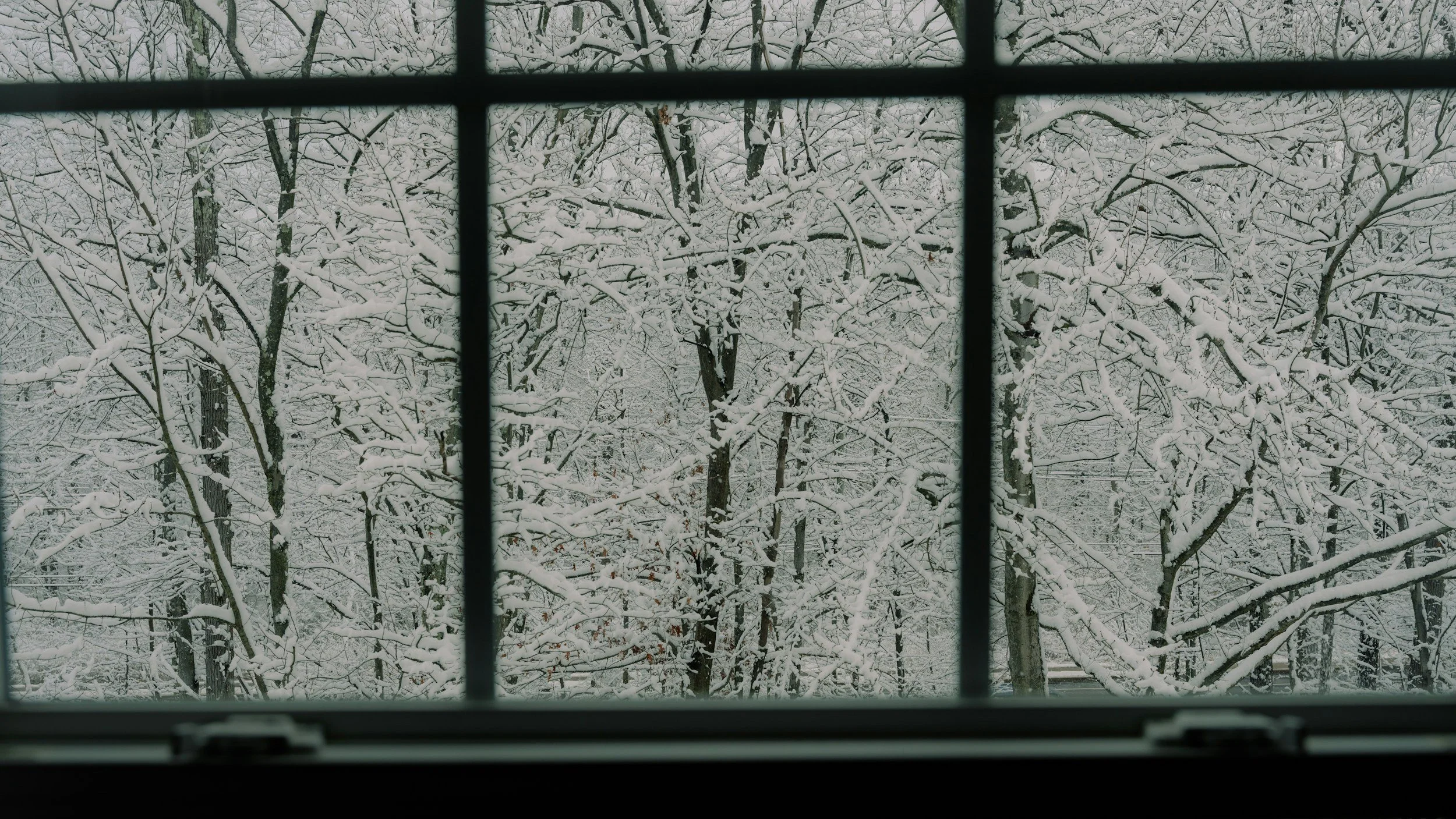 The Quiet Blessings of Homeschooling