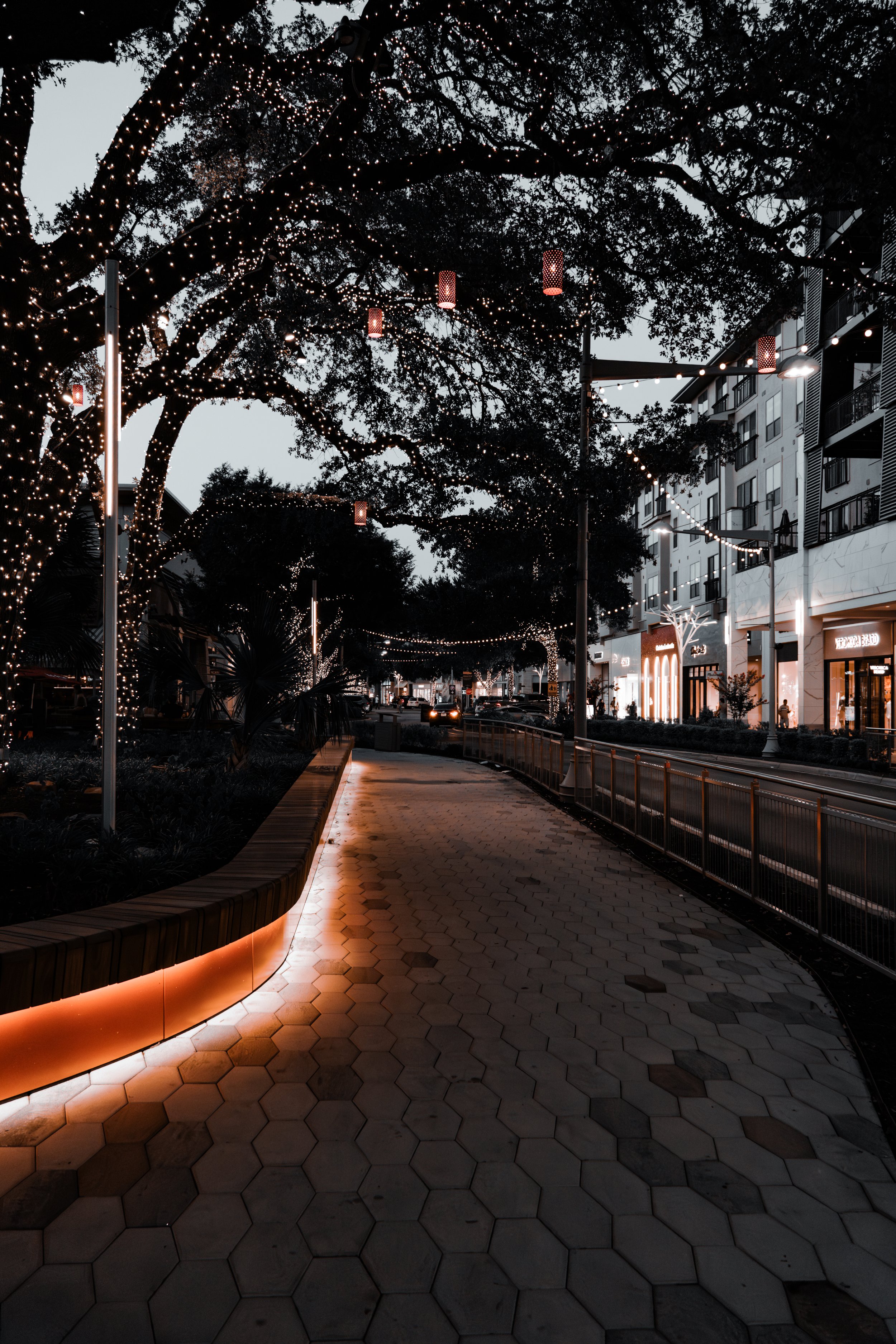 The Domain