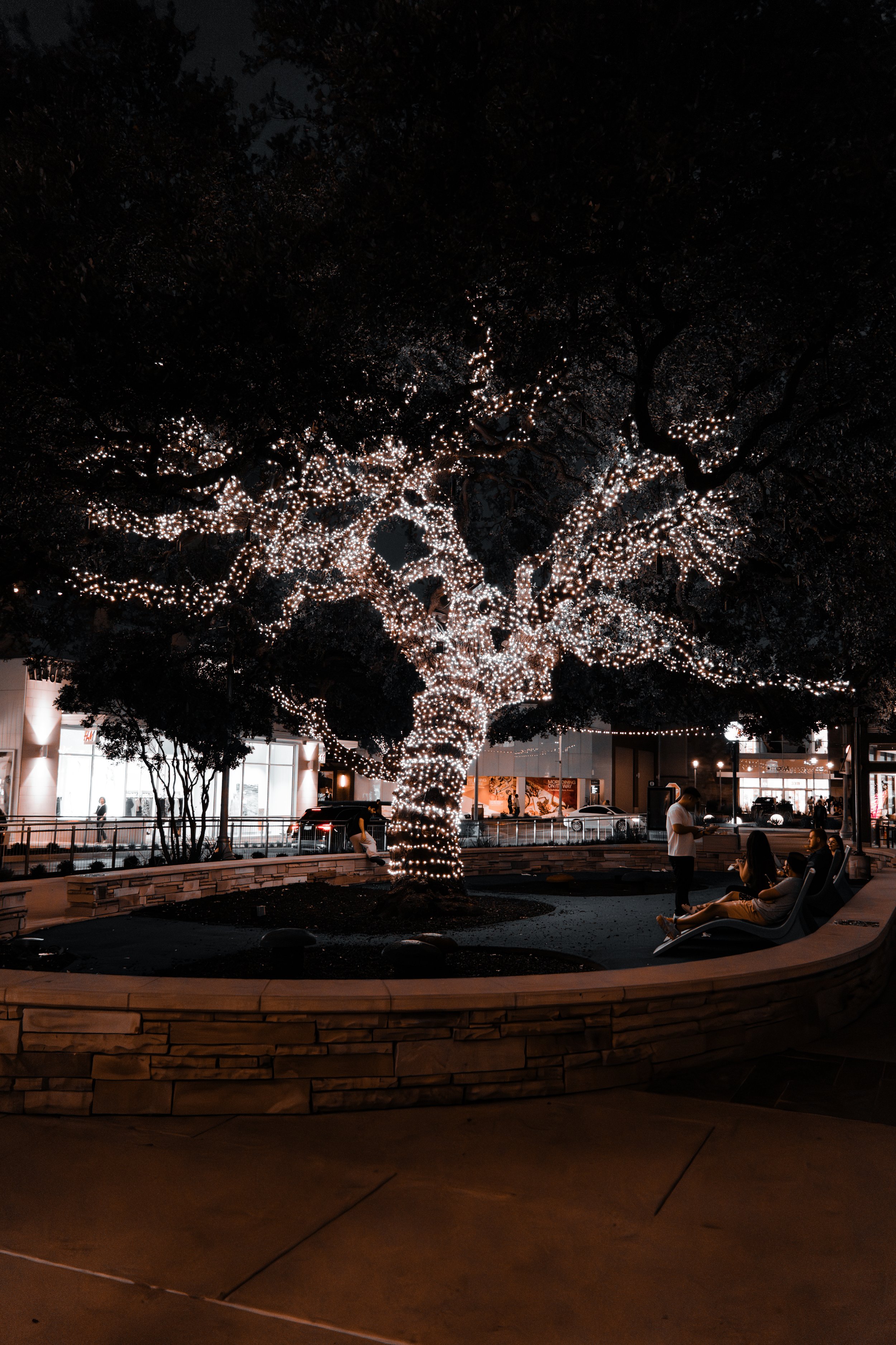 The Domain