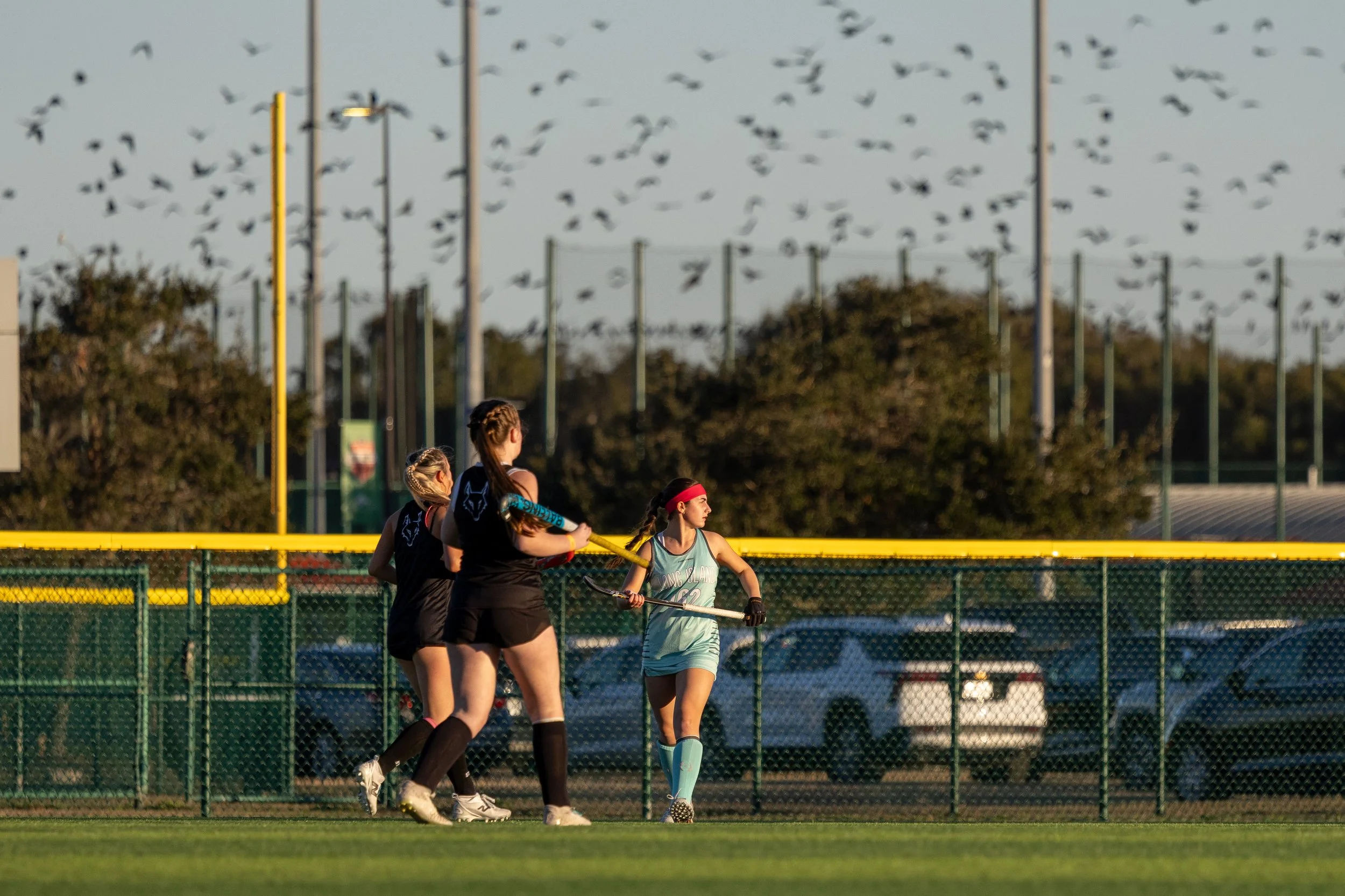 Three girls playing field hockey on a grassy field, with a fence, parked cars, and a large flock of birds flying in the sky in the background. Athlete and Sports Photography