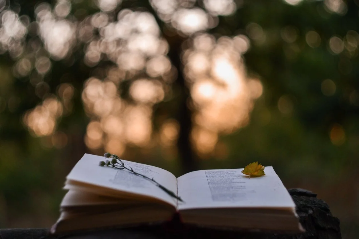 Poem or Short Story