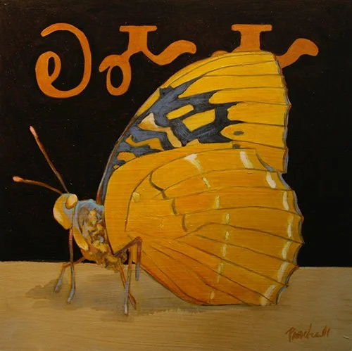 Butterfly-Great Smokies (Ka ma ma)