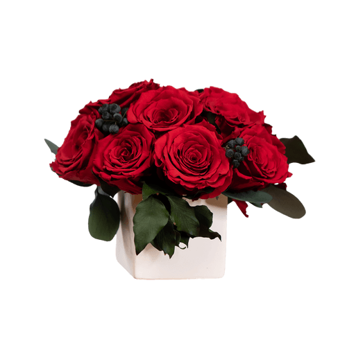 Mimi Amore Eterno Chapter II