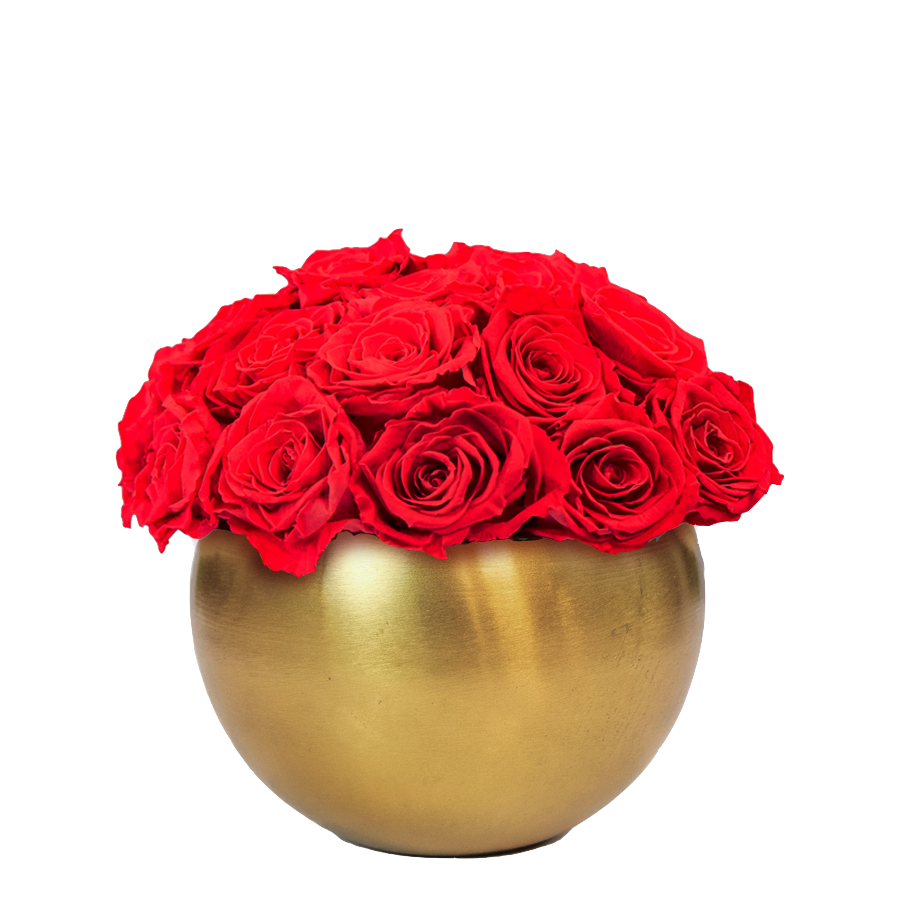 Giardino Arrangement