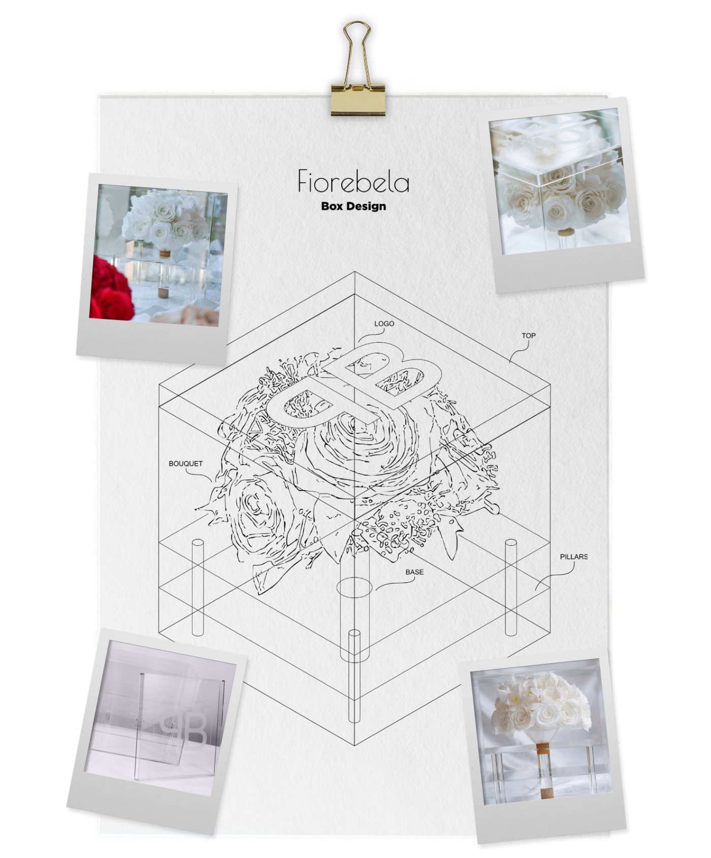 Blueprint design of flower box labeled Fiorebela with photos of white roses on top and around it.
