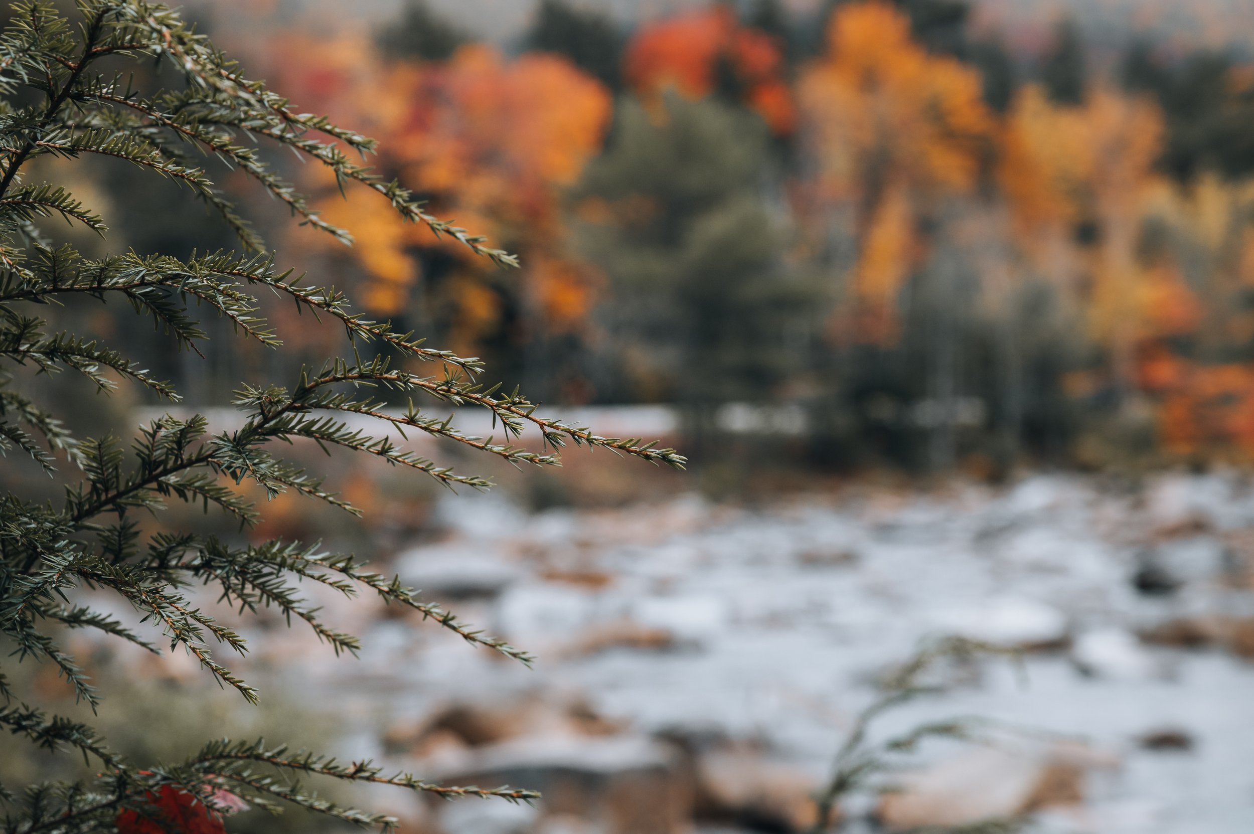 December + The Threshold of Stillness