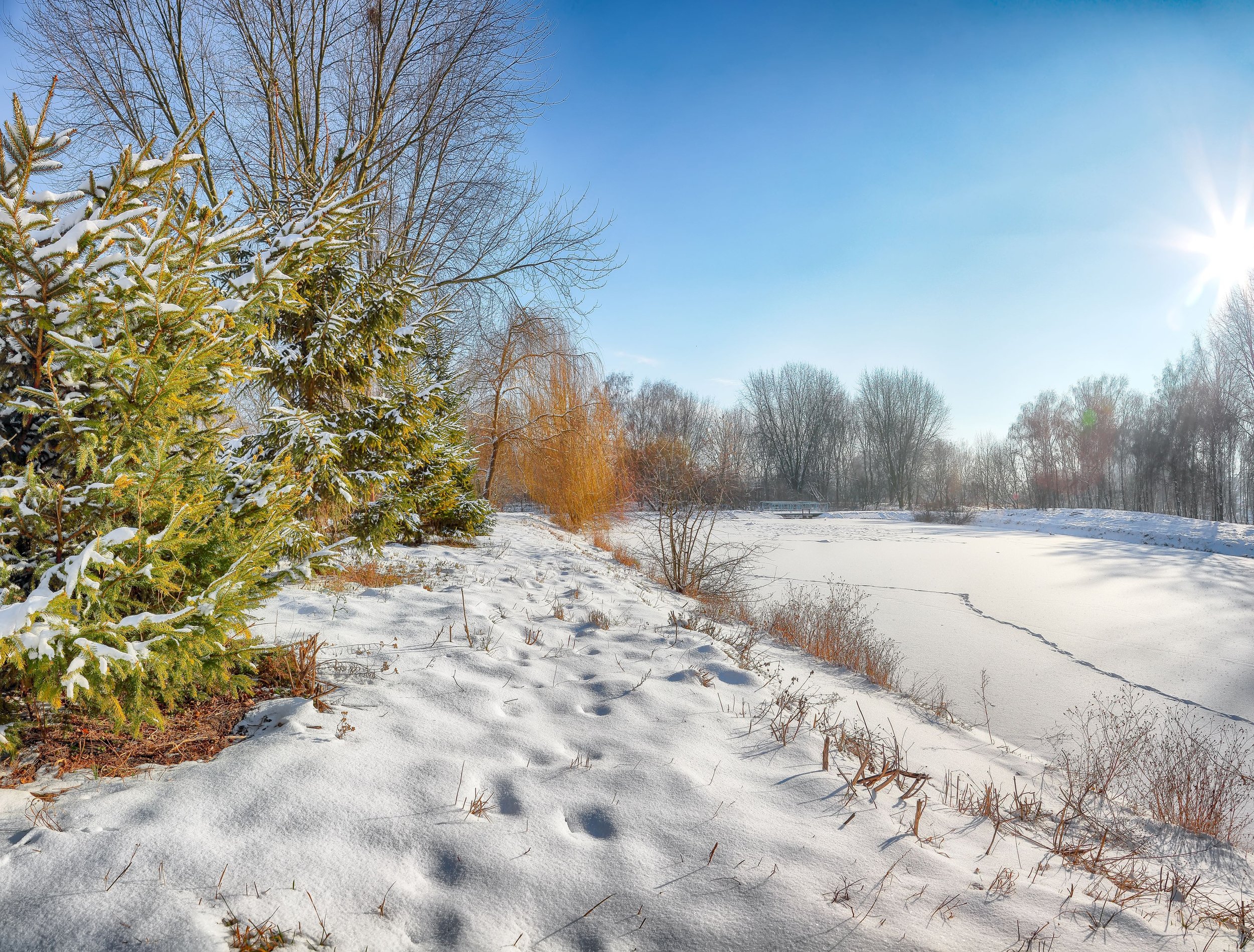 January + The Quiet Re-Entry