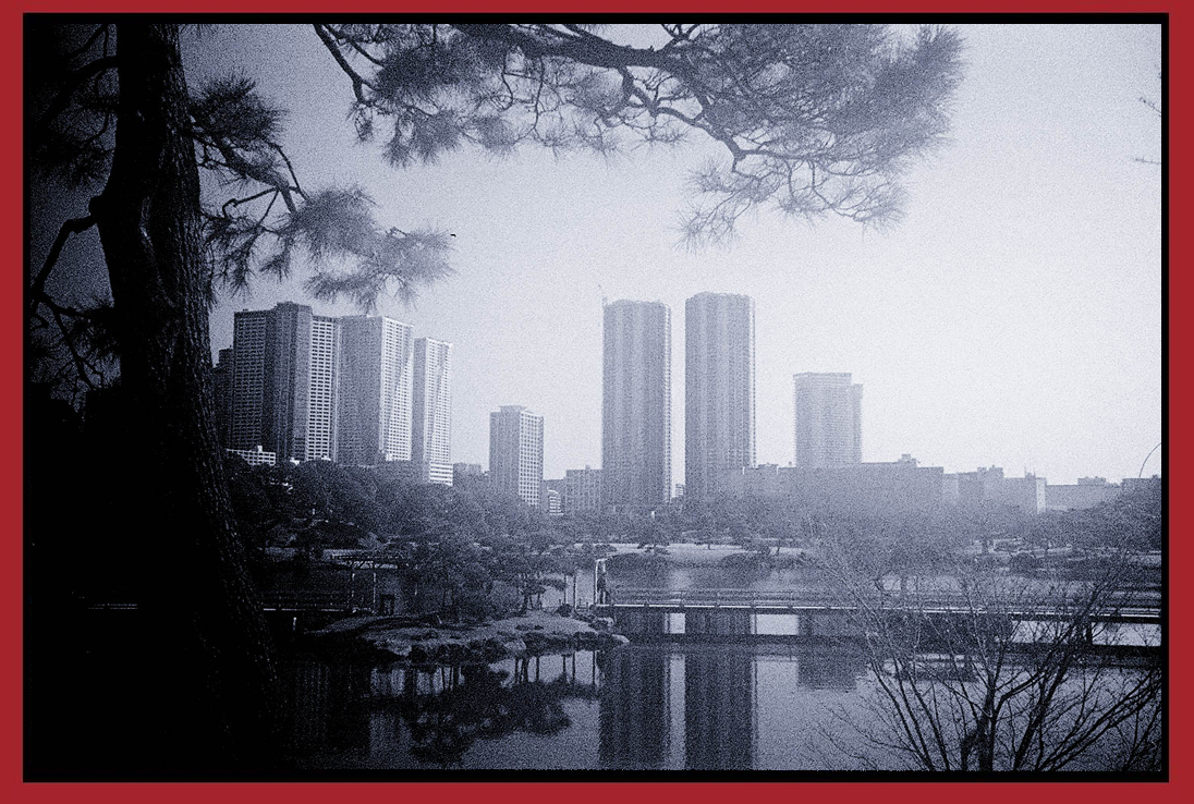 A cityscape with tall skyscrapers and a body of water in the foreground, framed by tree branches.