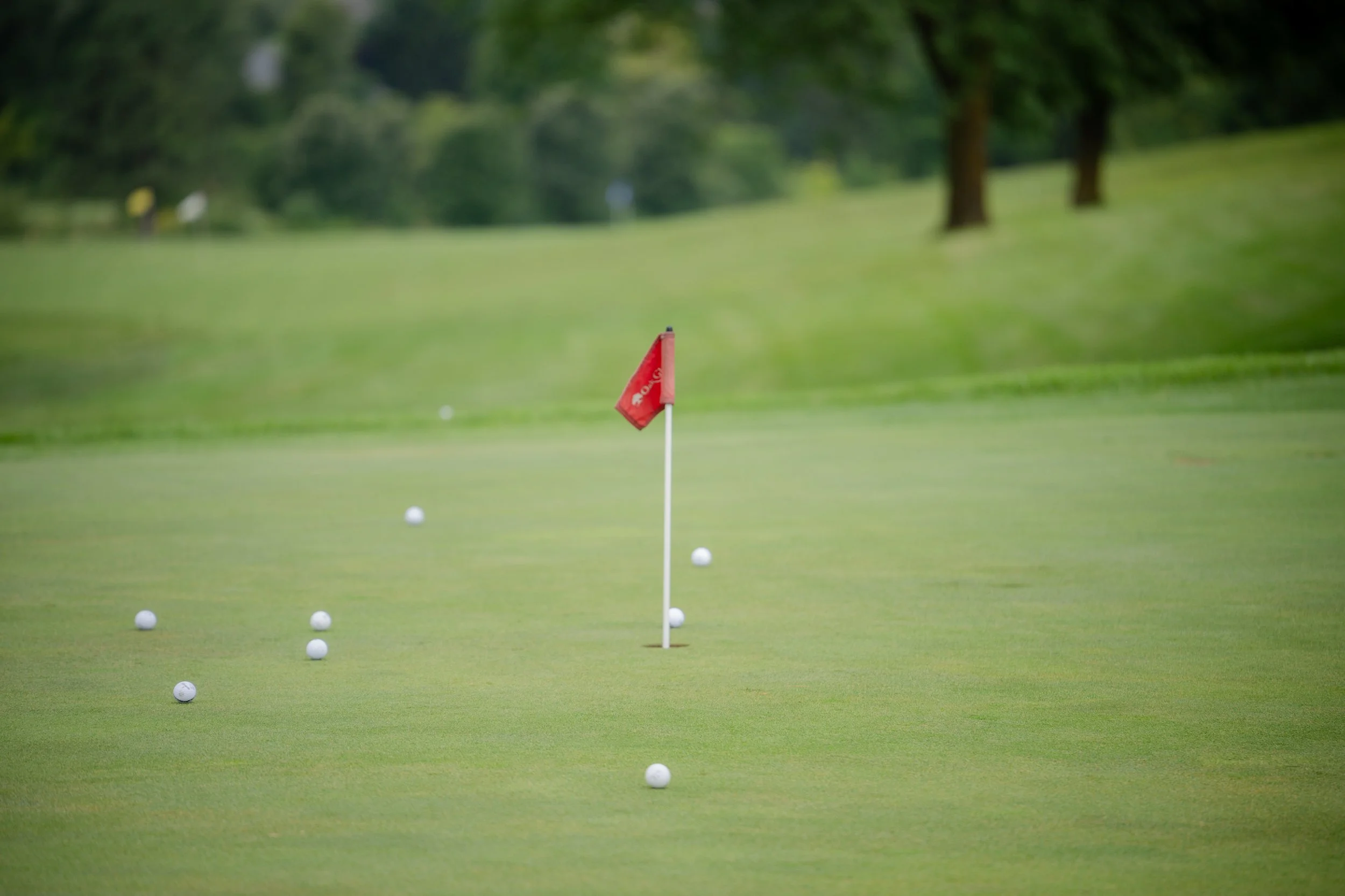 Ray's Fairway00125.jpg