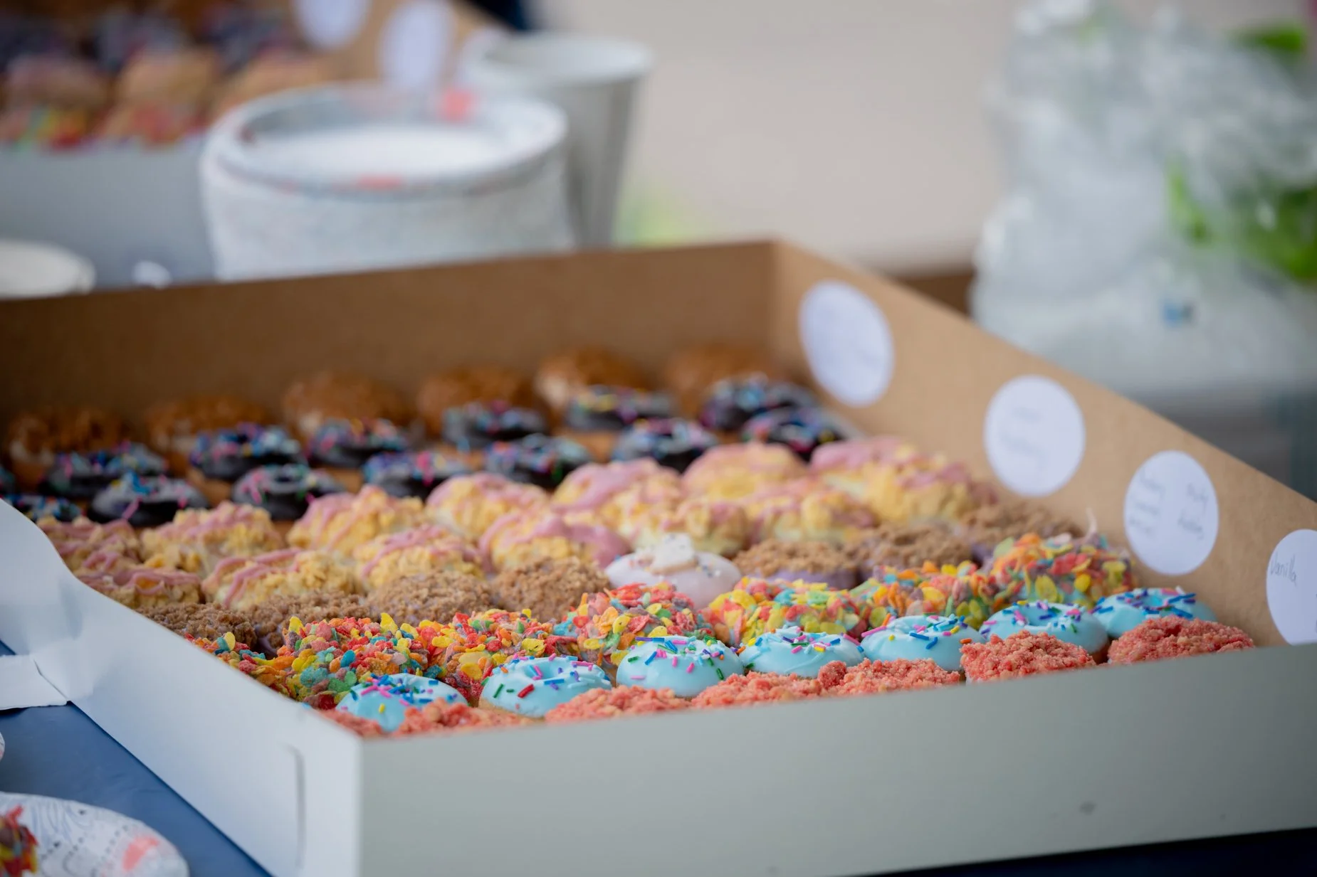CFF_Minneapolis-St Paul Great Strides -75.jpg