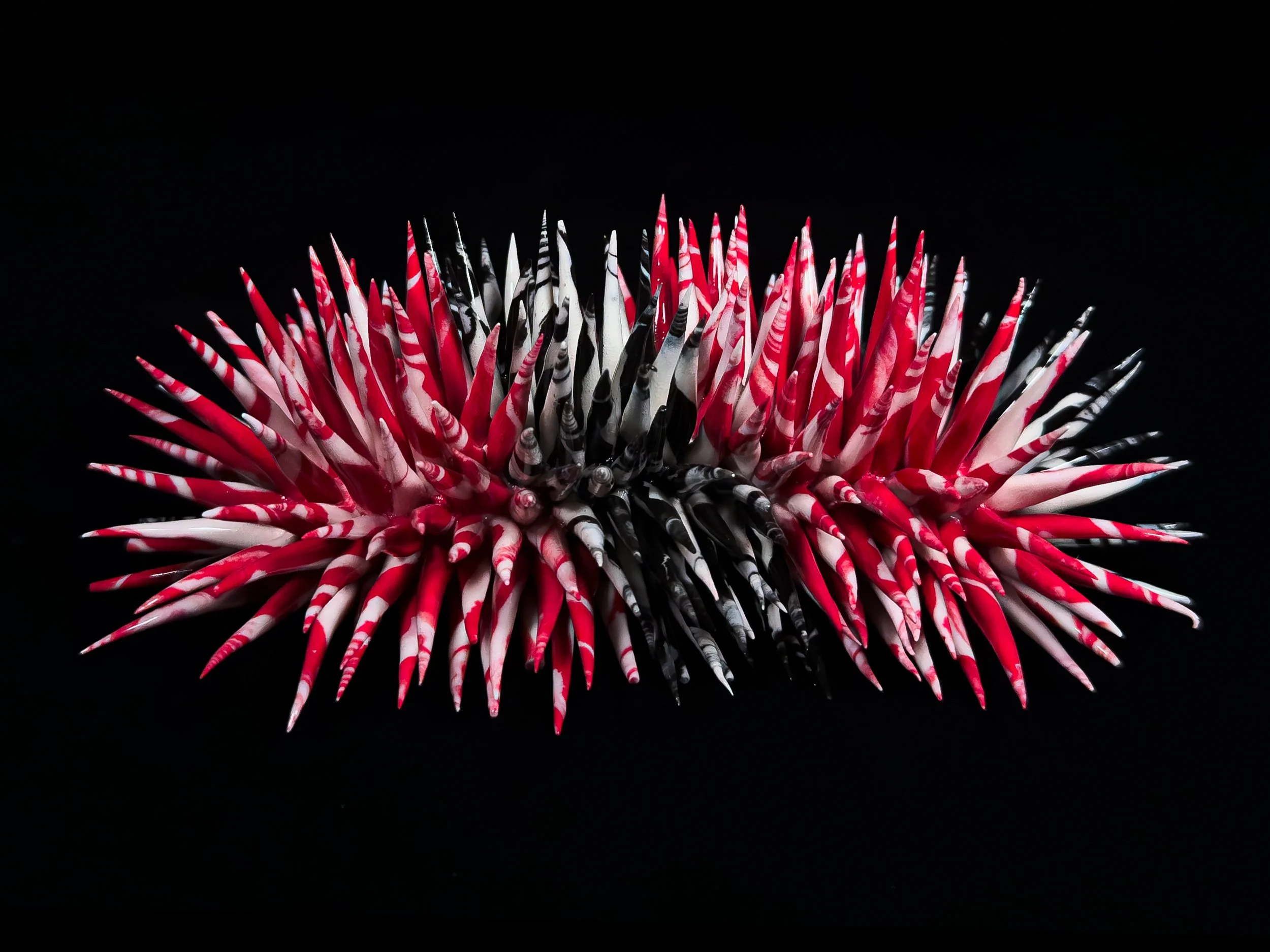 Lonomia coral