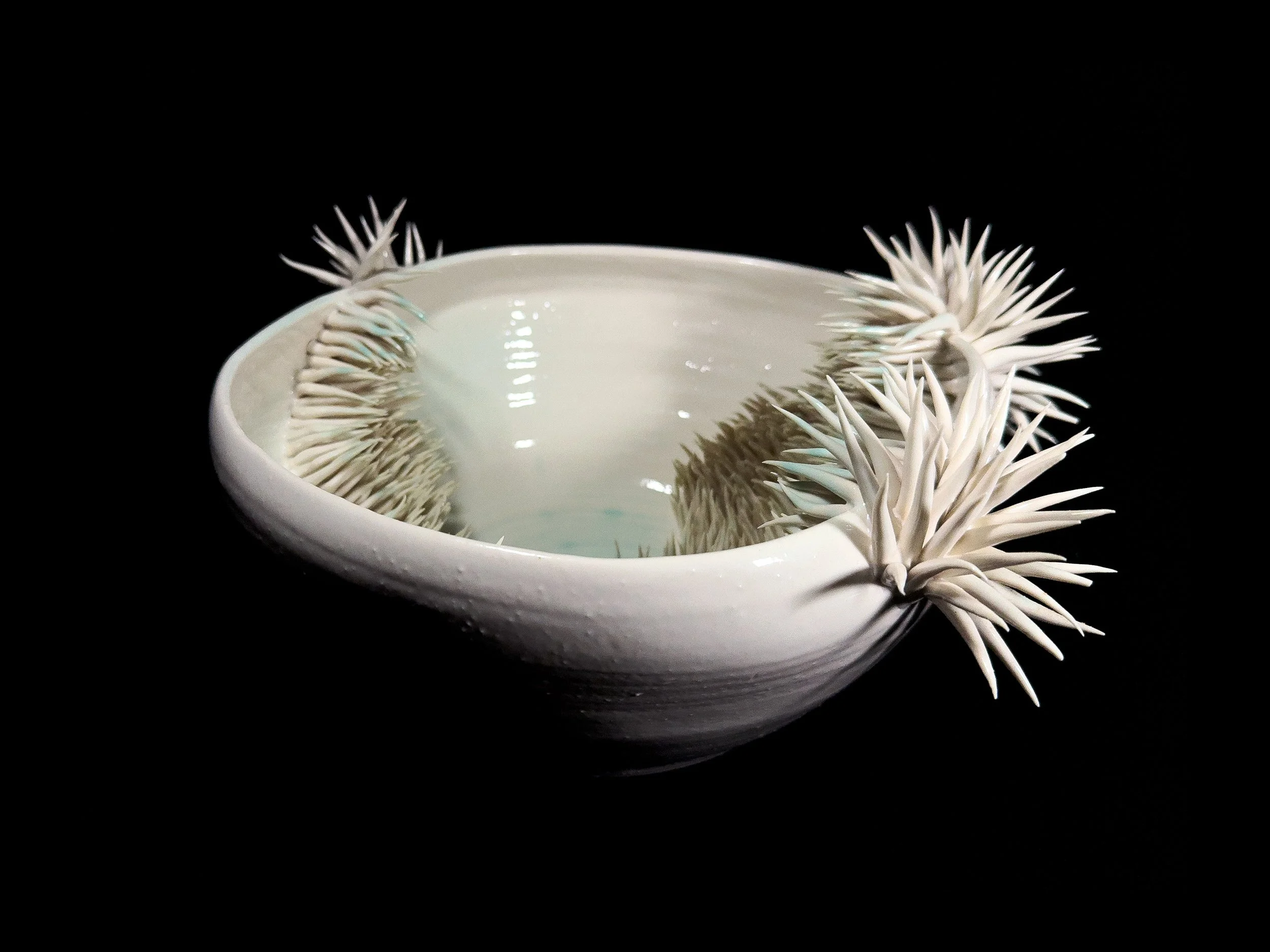 Vaso fenda