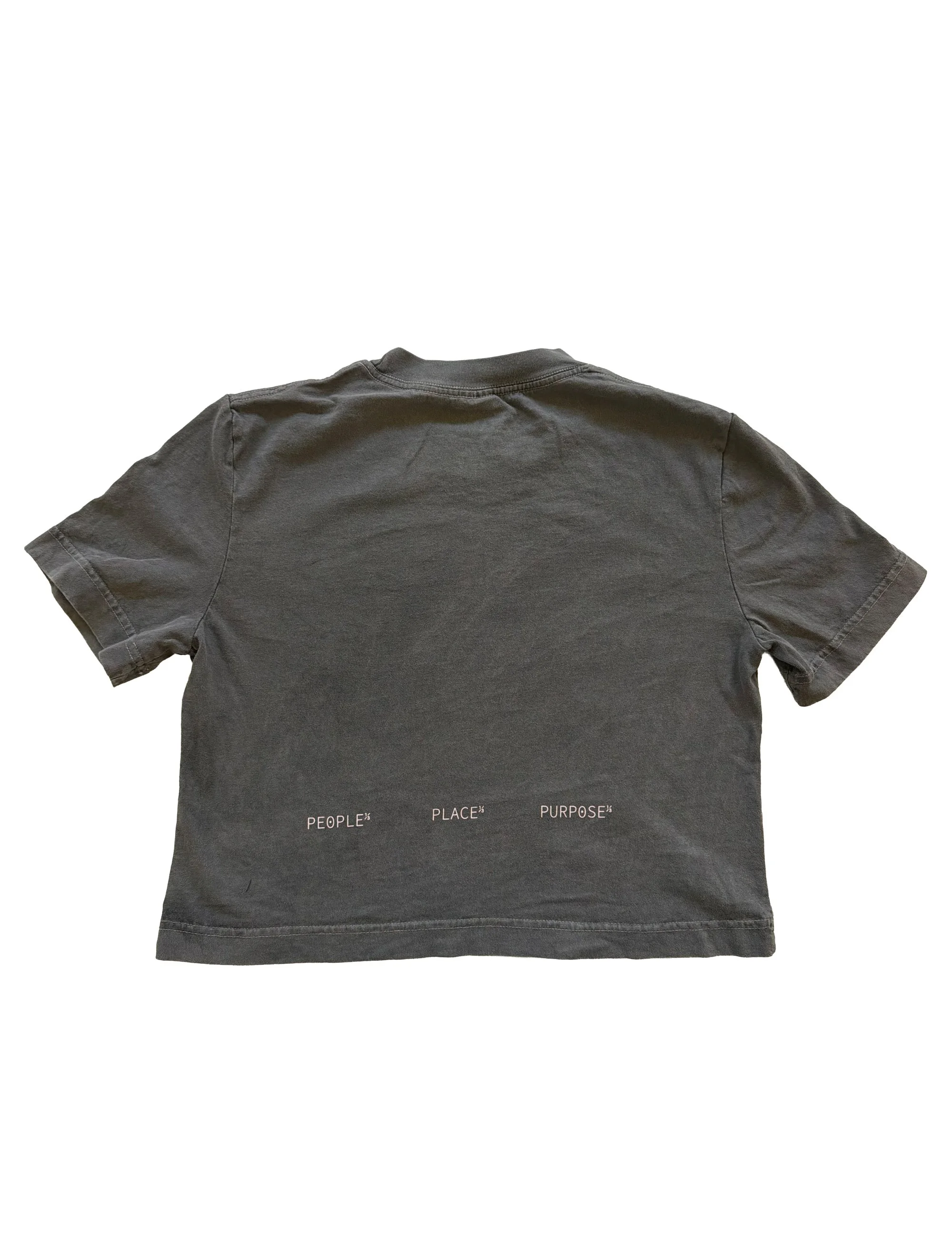 field-tee-back-biochar.jpg