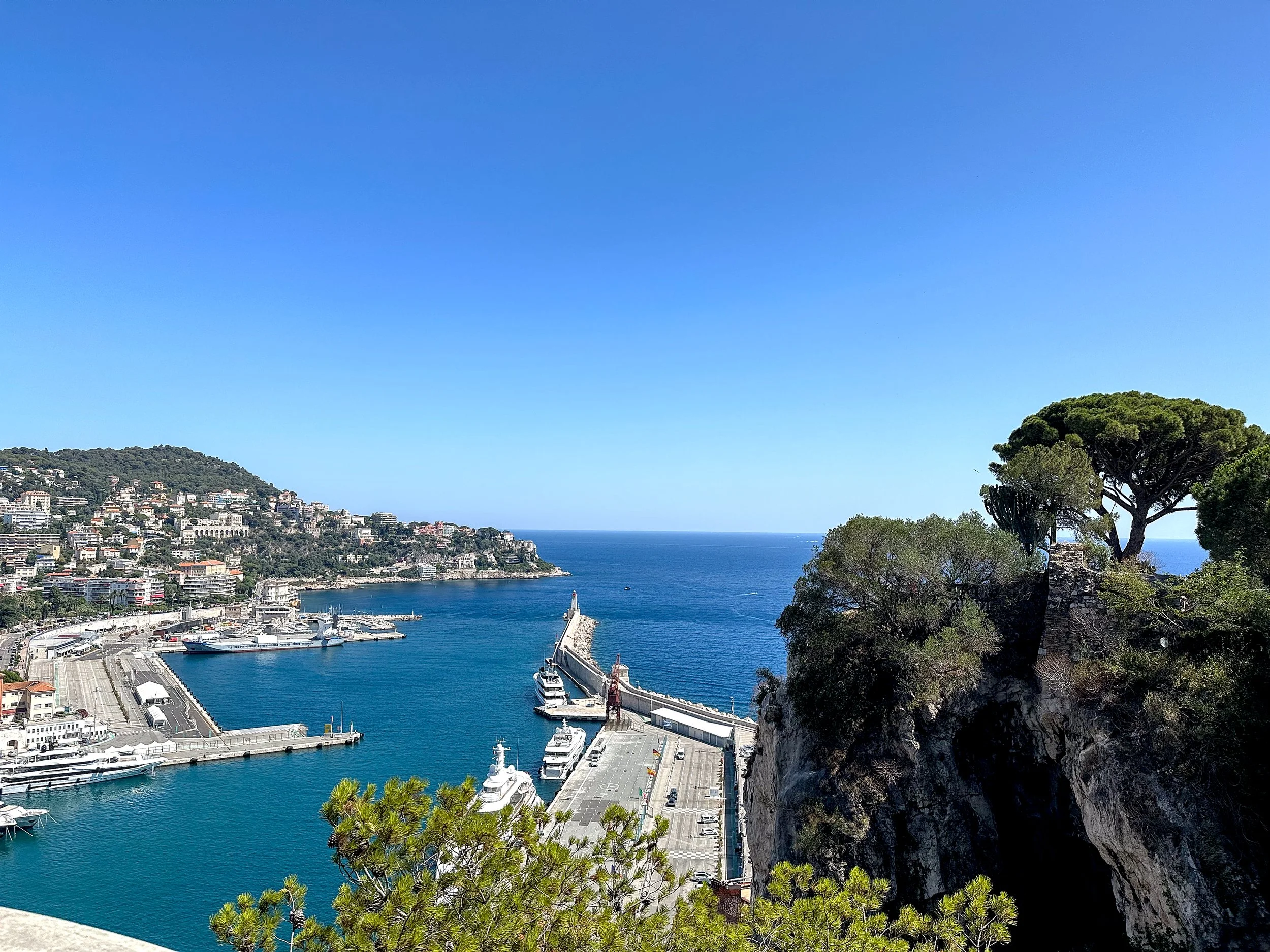 A view from above the Port of Nice, with boats in the harbor, blue water, and a rocky cliff with a tree on the right