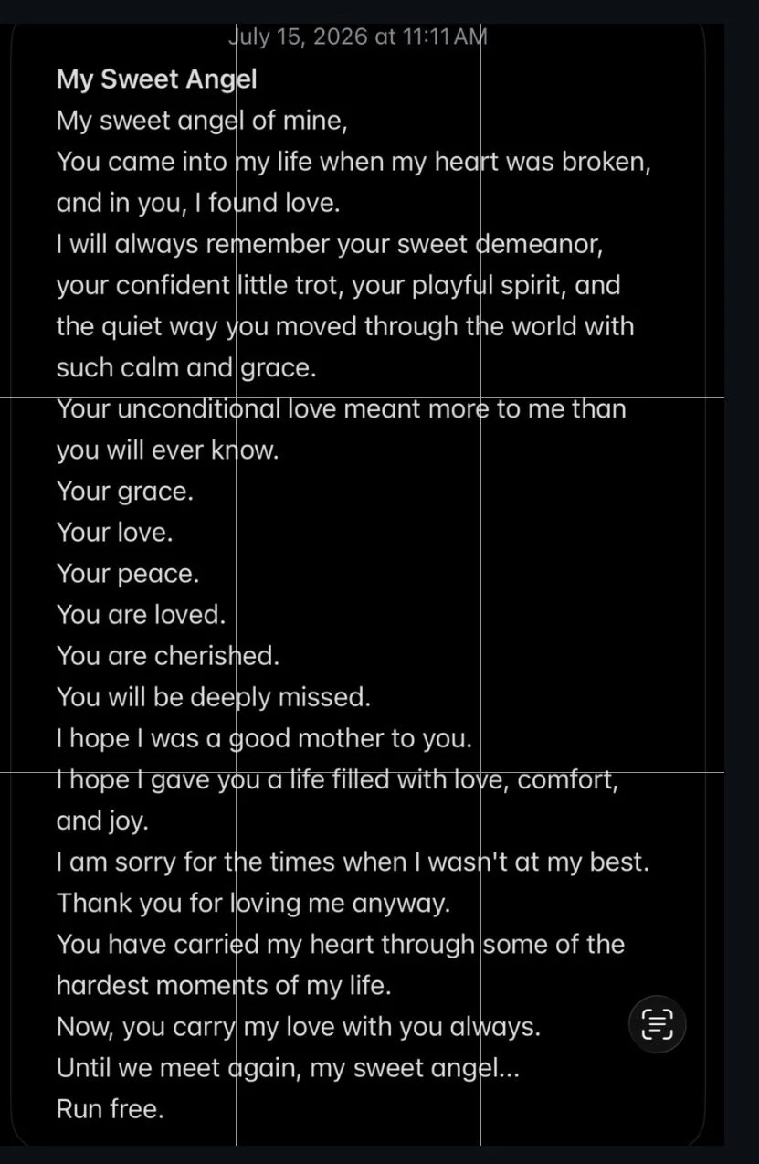 My Sweet Angel — July 15, 2026
Poem written for Taffy.

I’ve been writing poetry for decades. I used to keep the words on paper. Now I write on my phone and save them digitally.

I wrote this when I realized I was going to have to say goodbye to my d