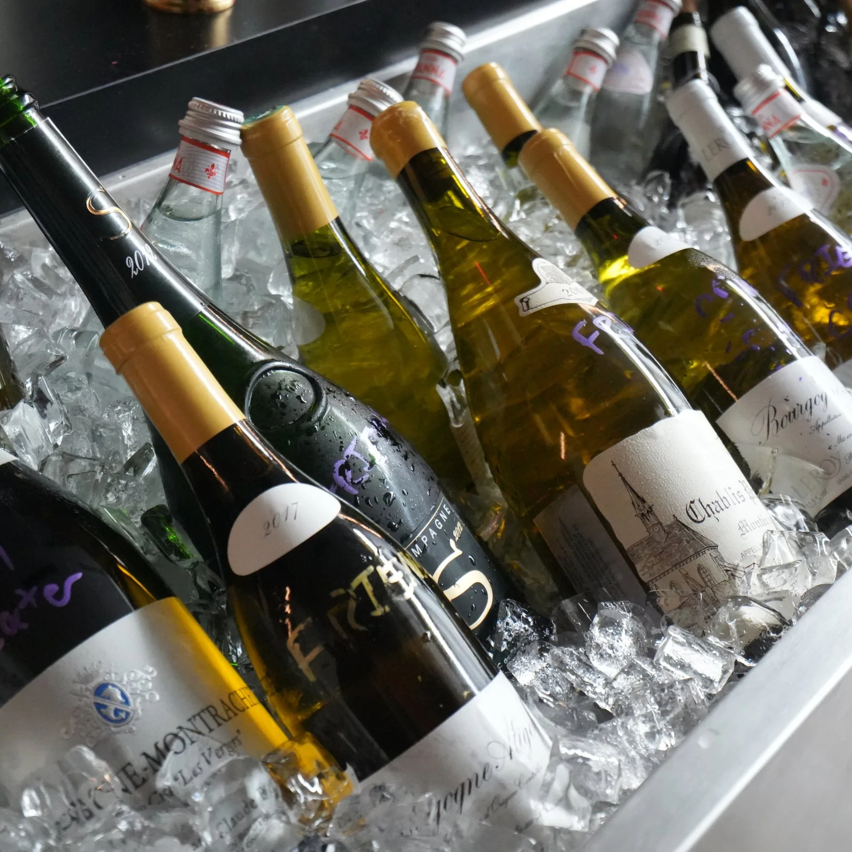 Bottles of white and sparkling wine chilling in a container filled with ice.