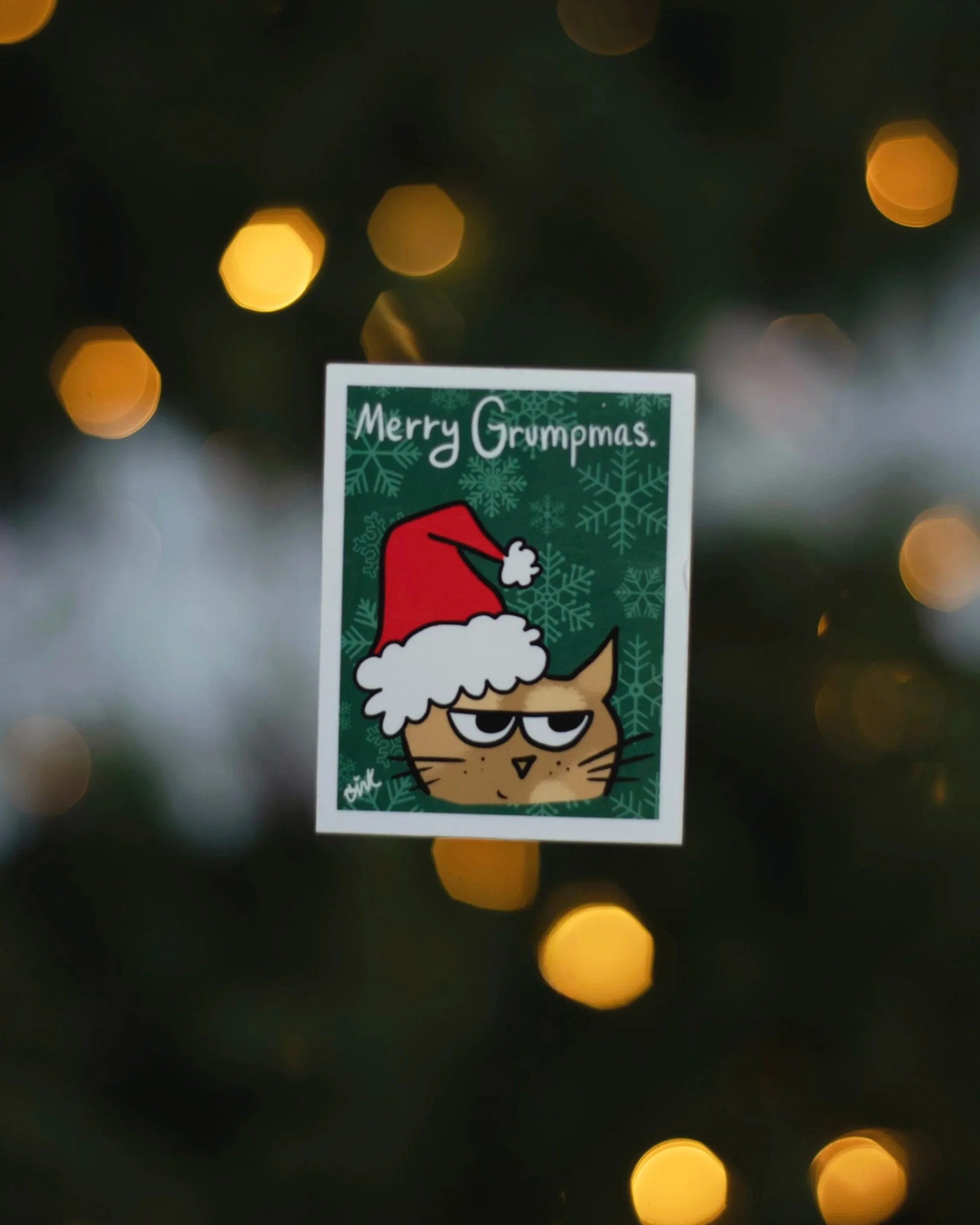 Tezza-6584.jpg (Copy)