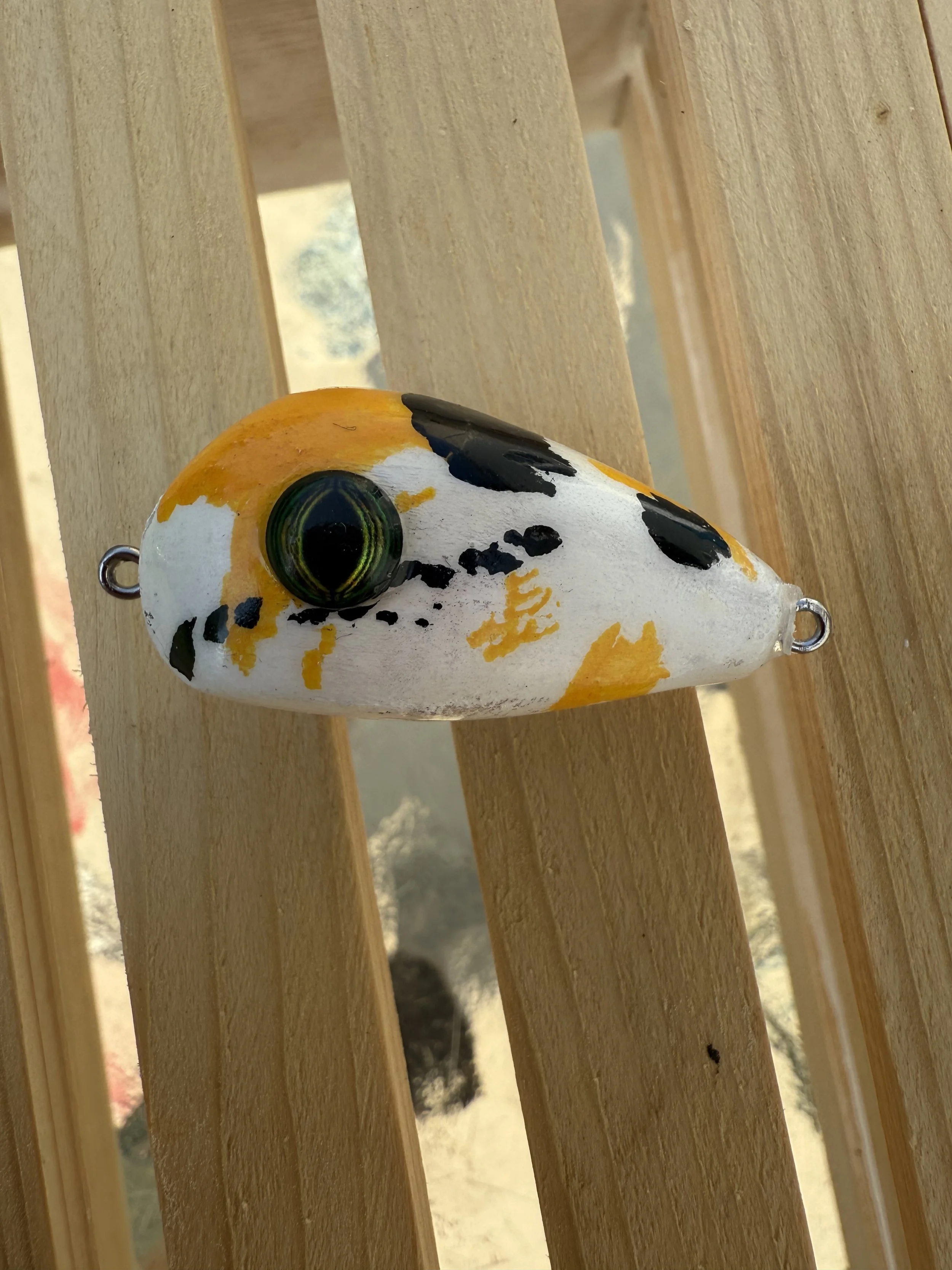 Calico fish
