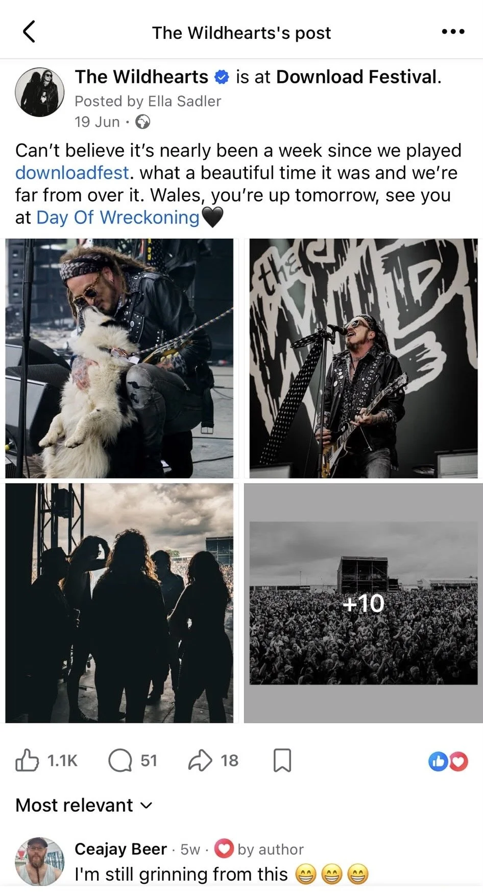 Example of The Wildhearts Social Media