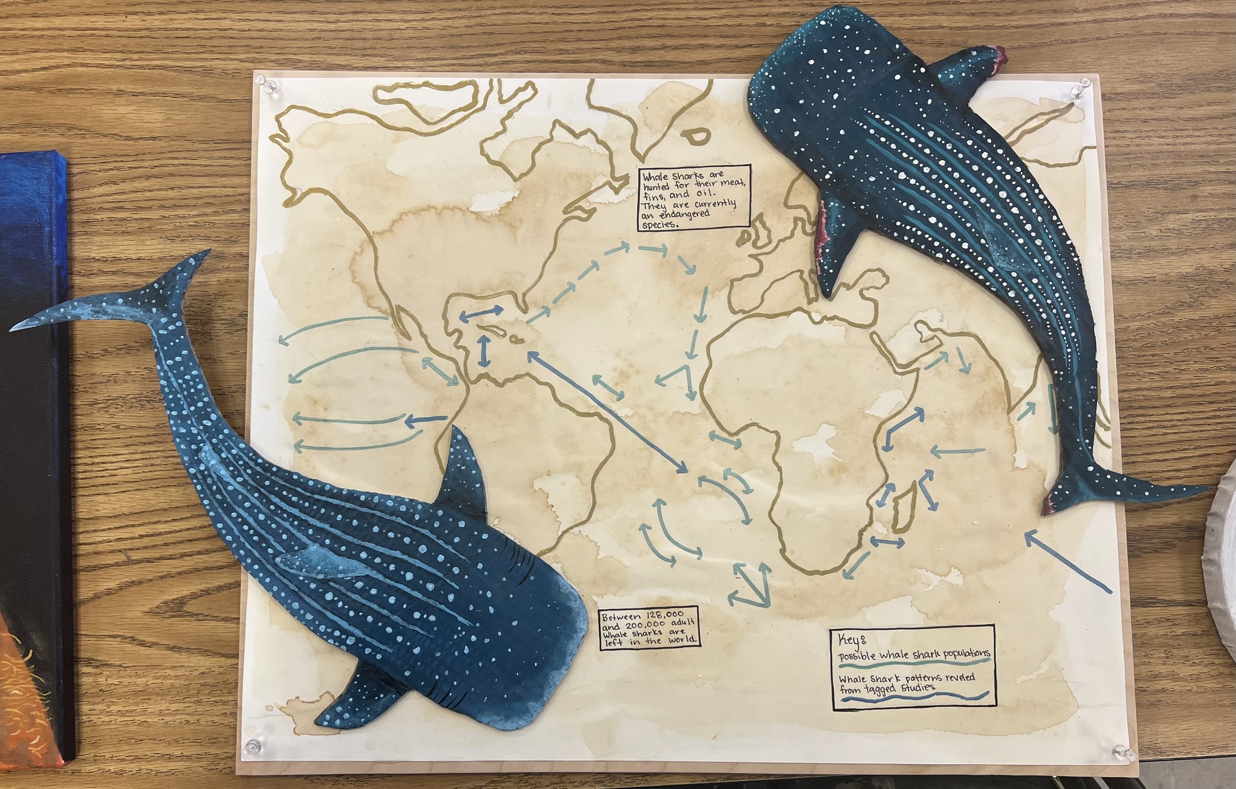 A world map with painted whale illustrations and blue arrows indicating whale migration routes, with notes about whale sharks and whale populations.