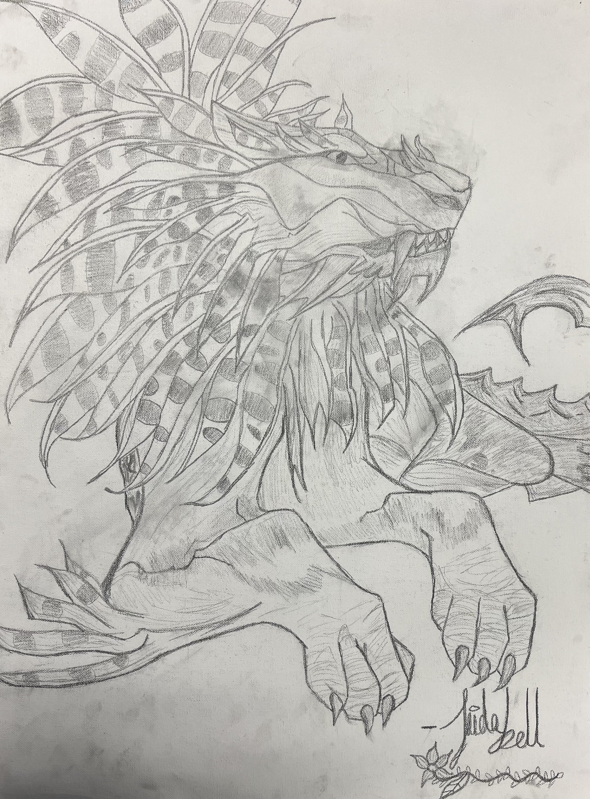 A detailed pencil sketch of a dragon with multiple hair-like and leaf-like appendages on its head, sharp claws, and a long, serpentine body. There is a signature at the bottom right corner.