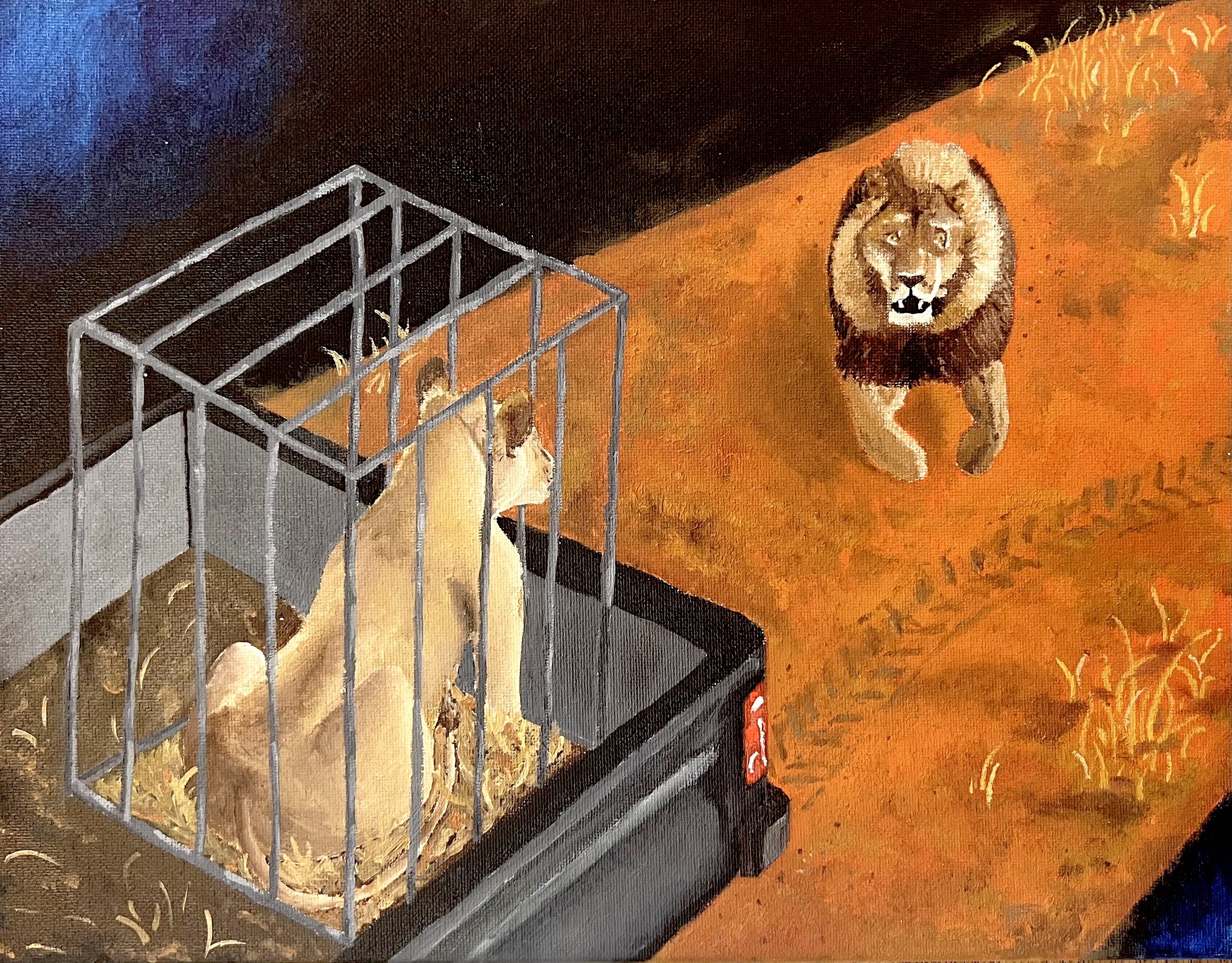 Painting of a lion inside a cage looking at a lion outside on a grassy field.