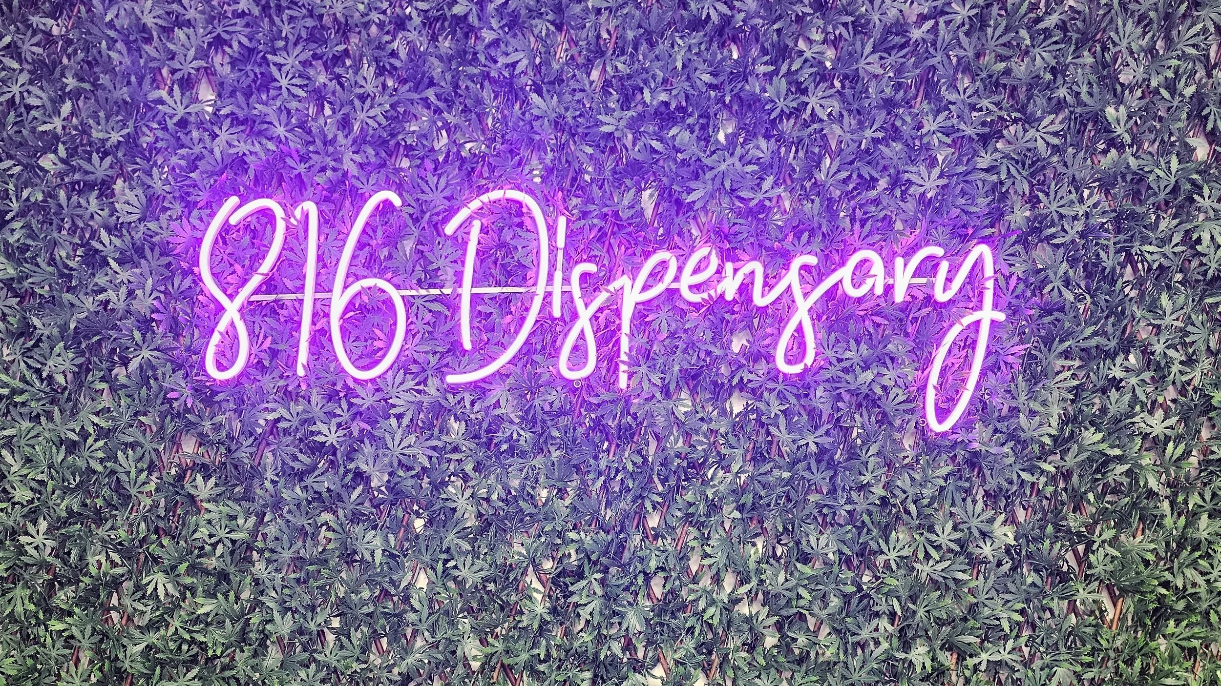 Anniversary Party @ 816 Dispensary