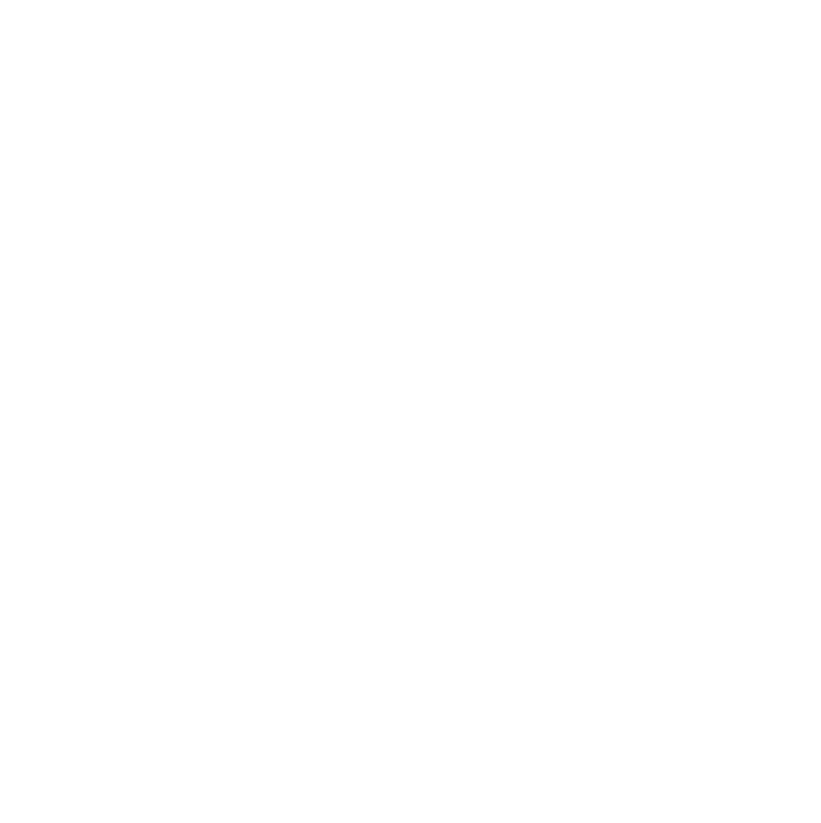 Megafin Brush &amp; Fly