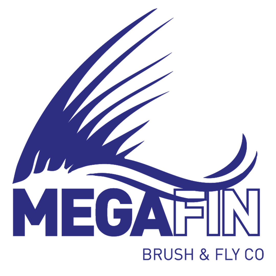 MegaFin Logo_2-100Marzo2_cropped.png