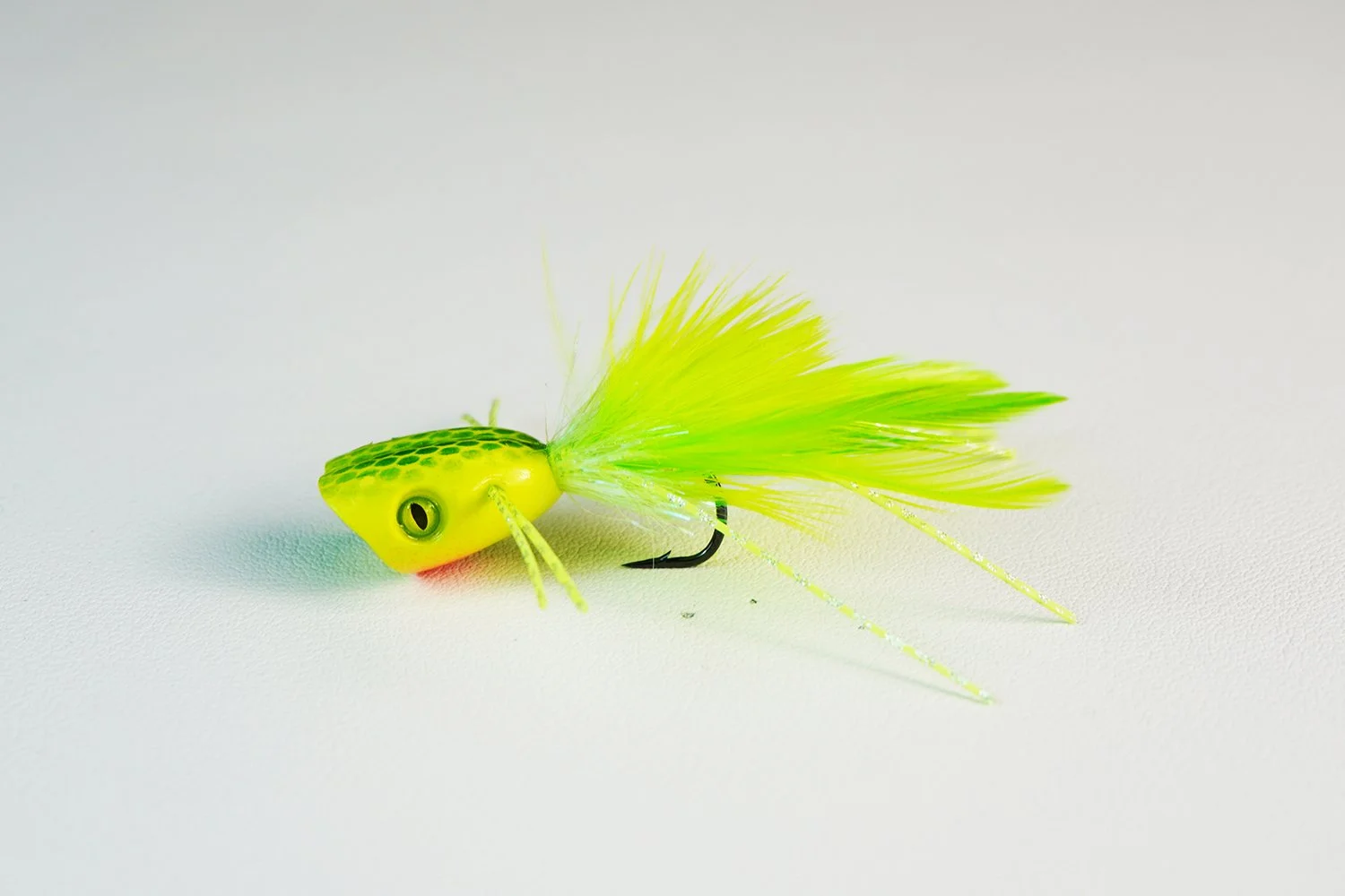 Popper_C4.JPG