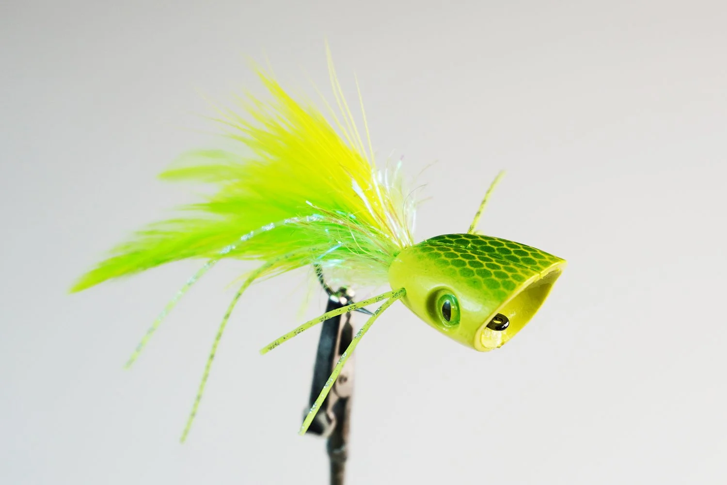 Popper_C7.JPG