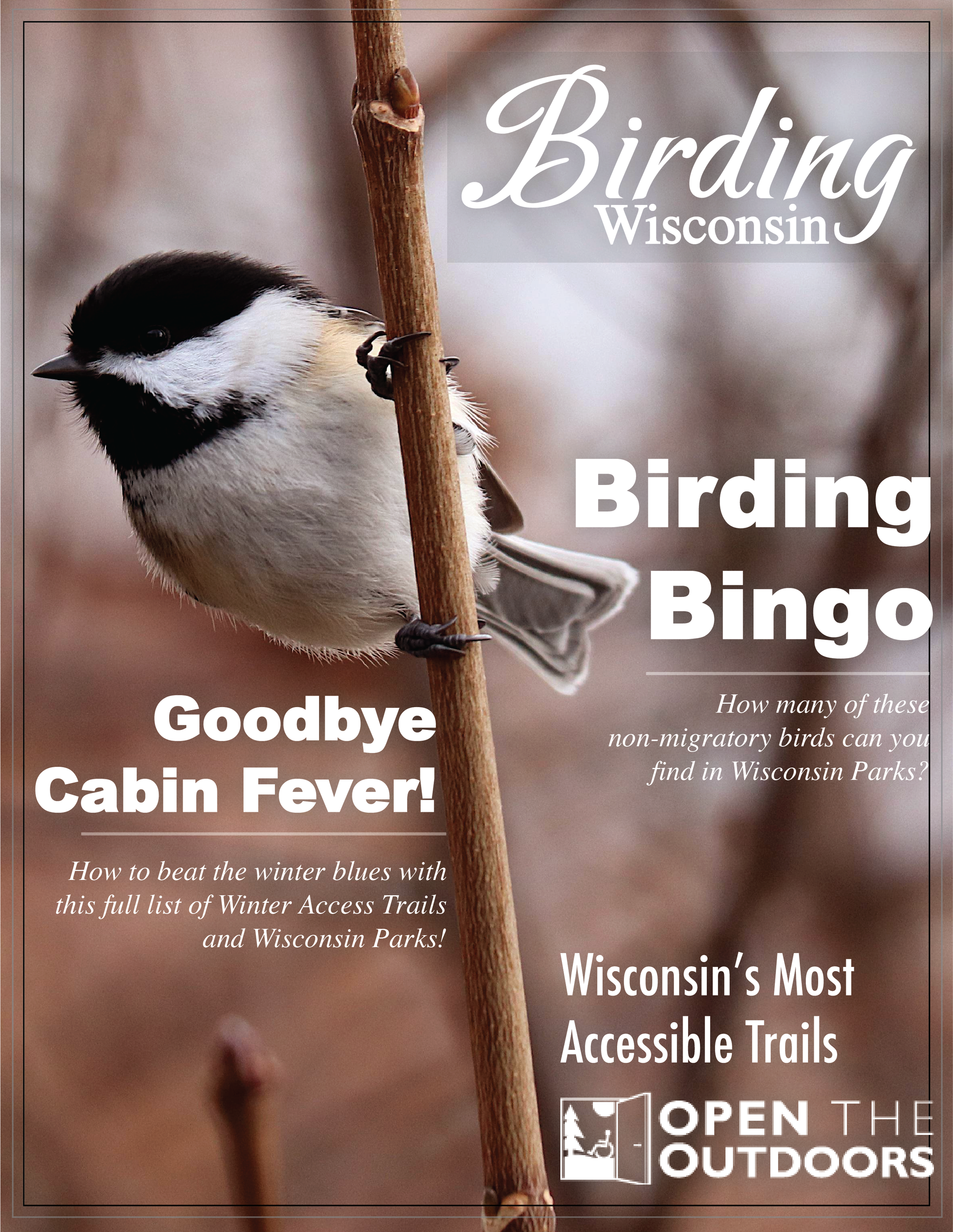 Birding Winter png.png