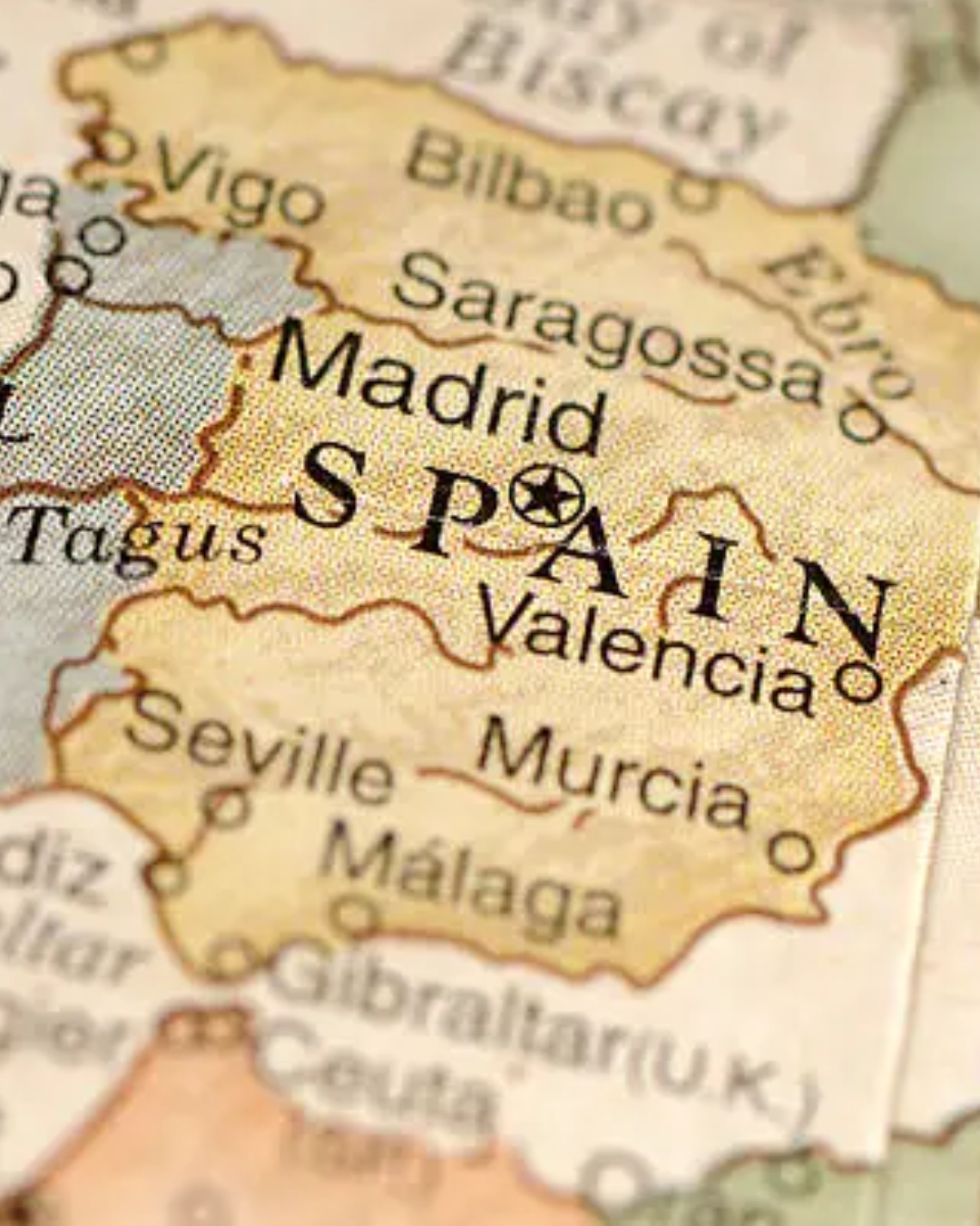 Spanish Wine Basics