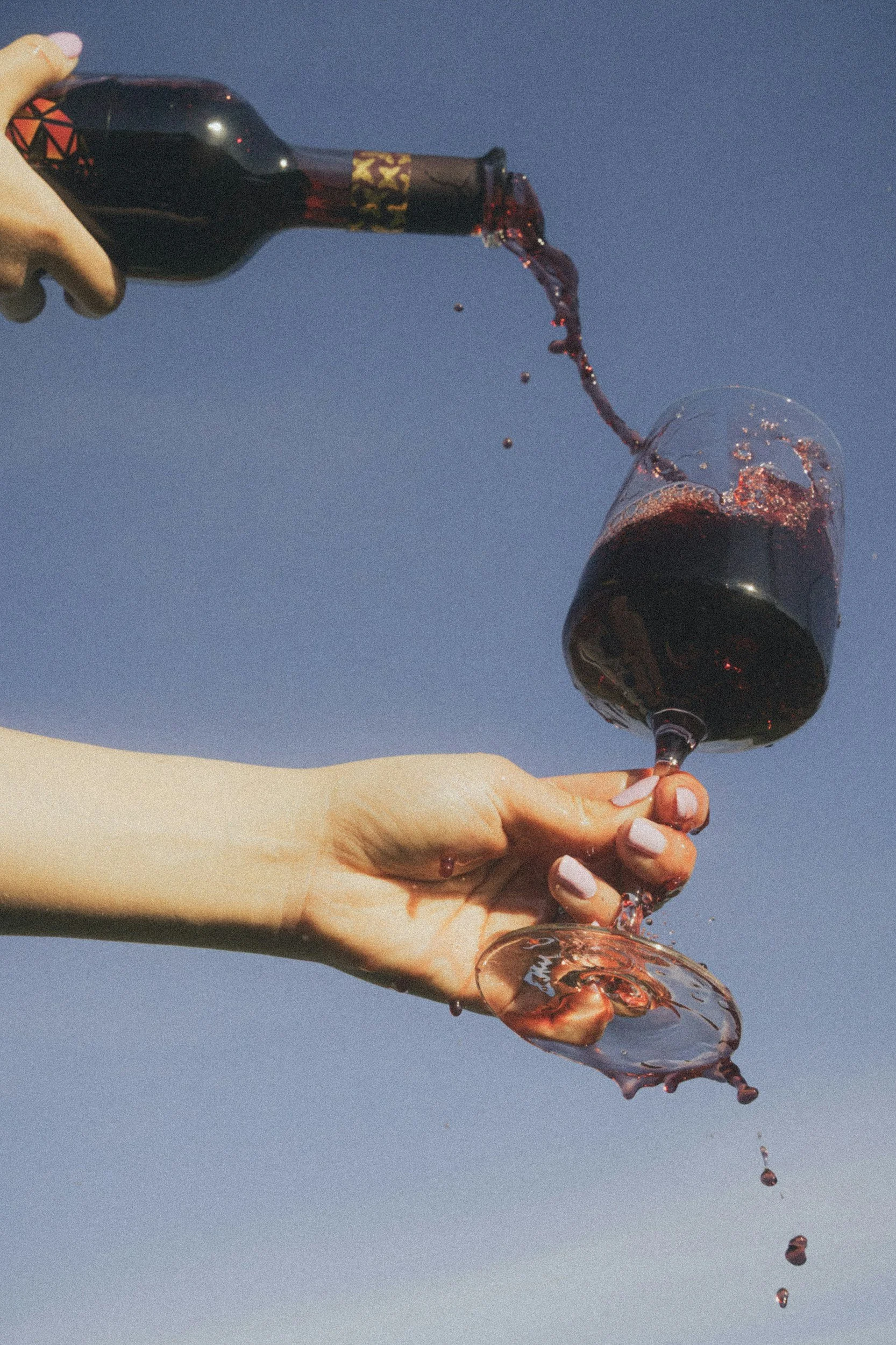 Robust Reds Wine Tasting