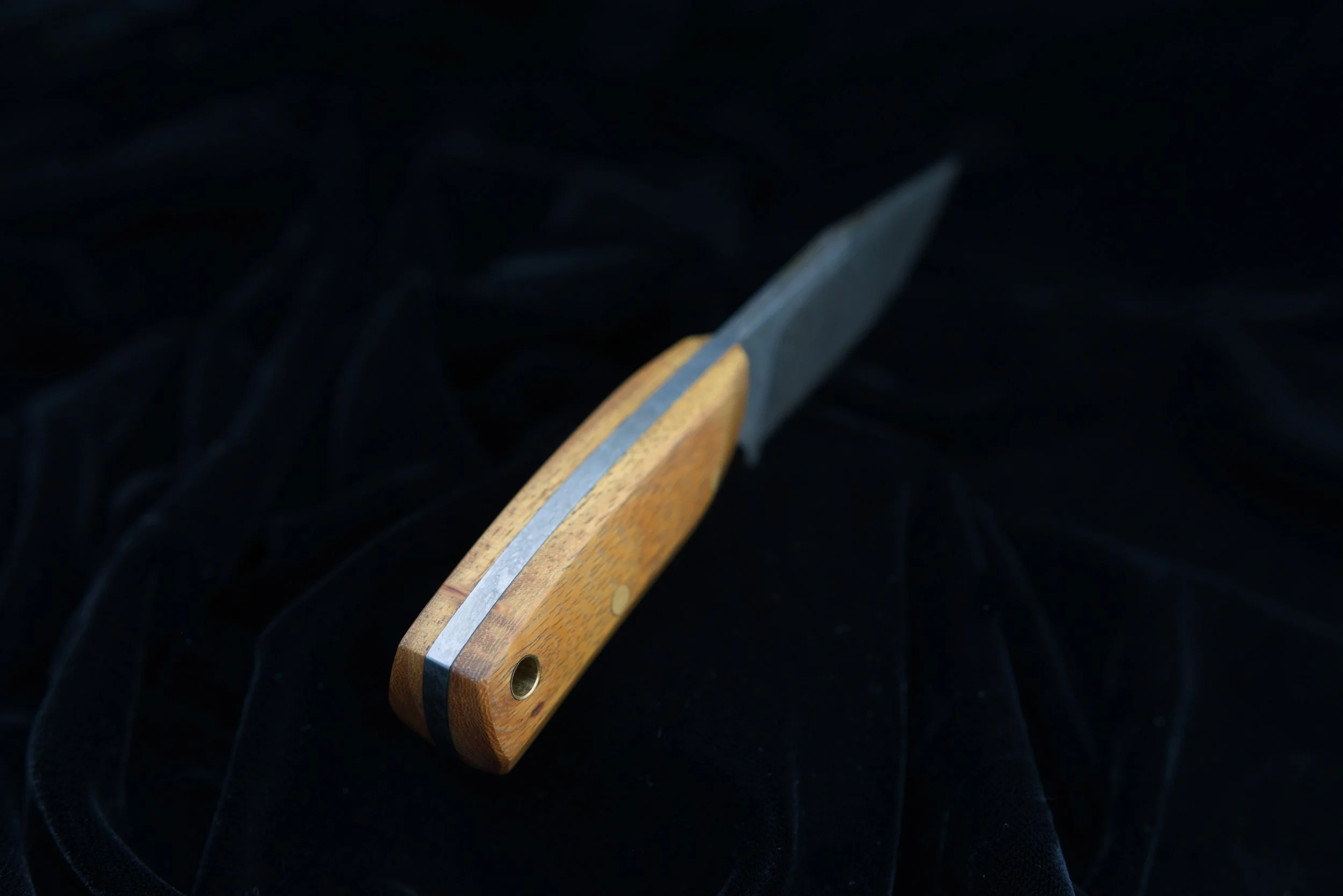 DSC_0510.jpg