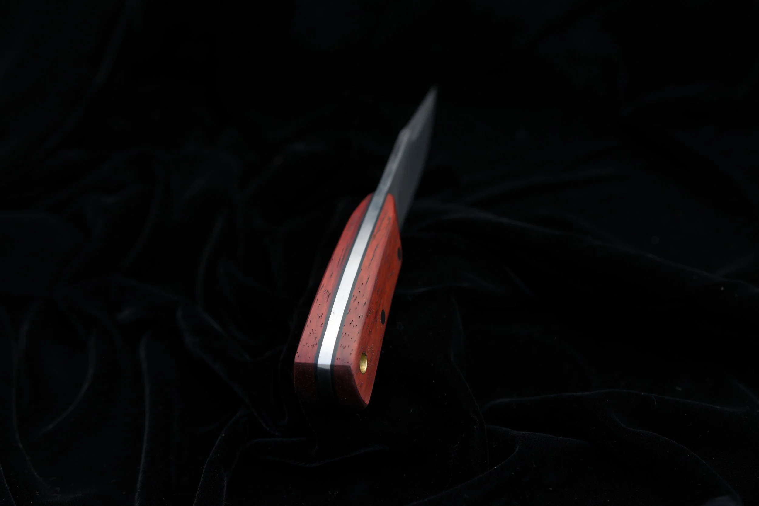 DSC_0475.jpg