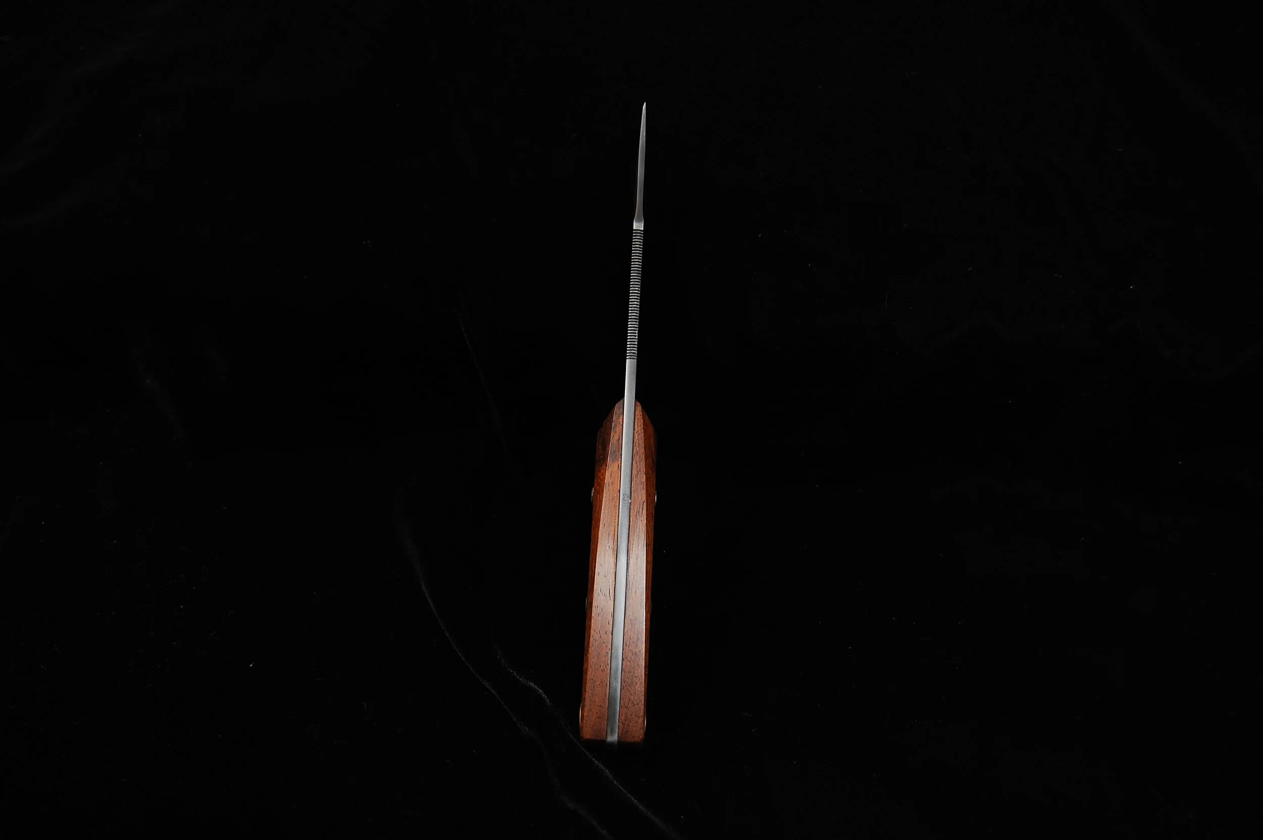 DSC_0246.JPG