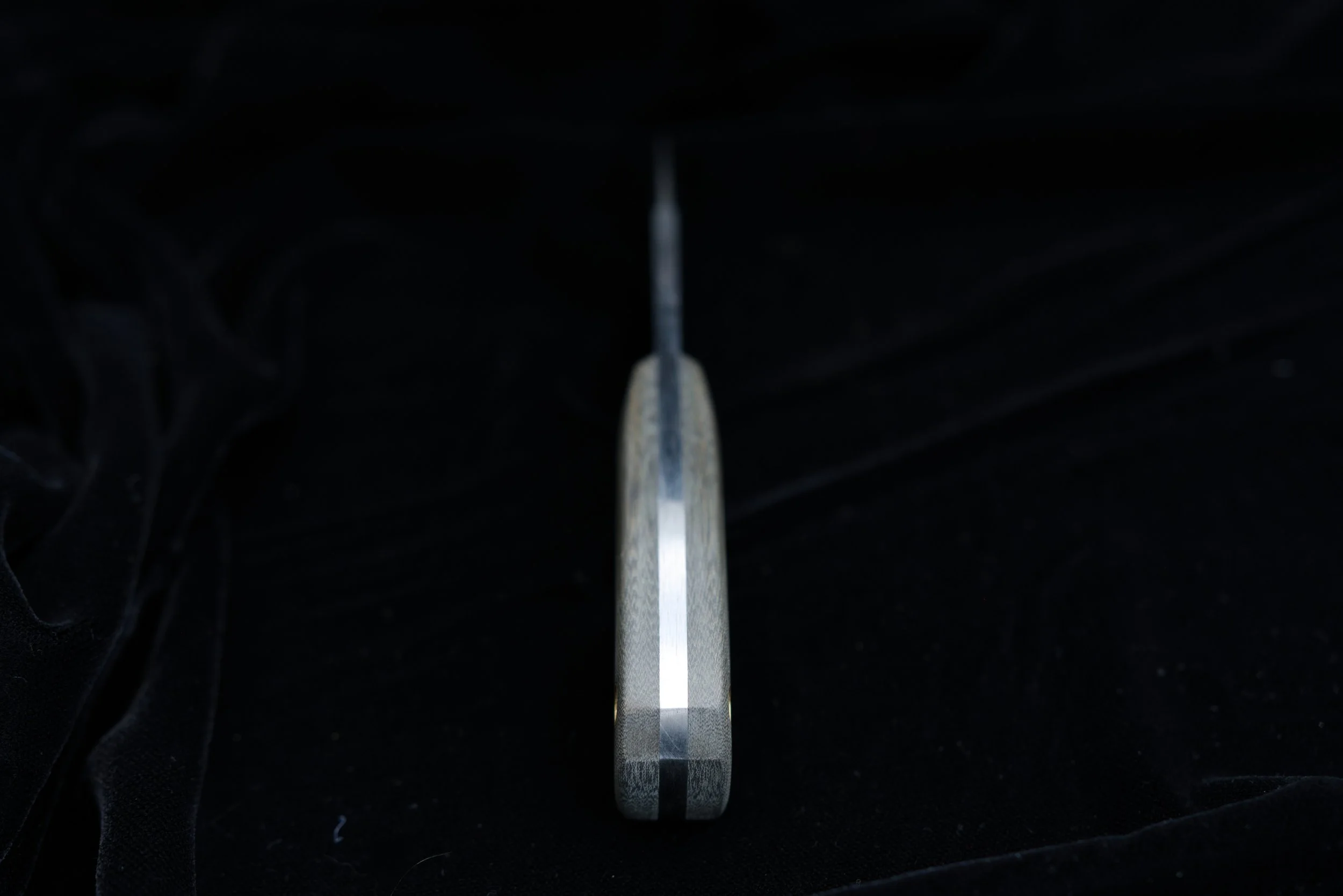 DSC_0441.jpg