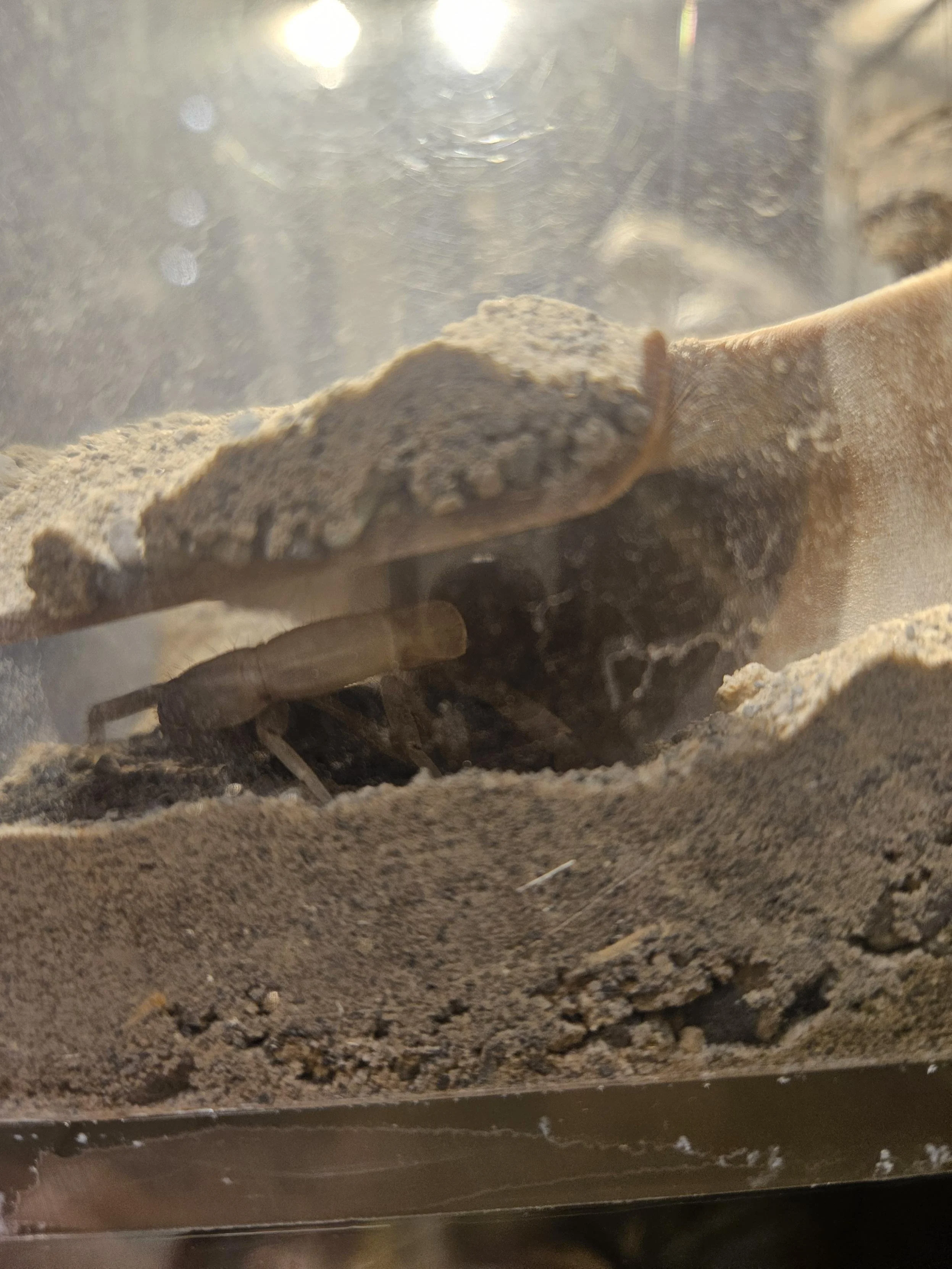 Tank Corner Hide