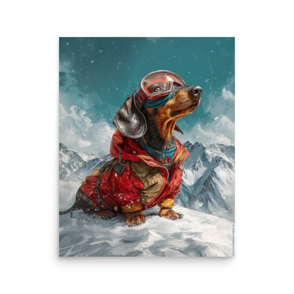 premium-luster-photo-paper-poster-(in)-16x20-front-68dde54ab3d5c.jpg
